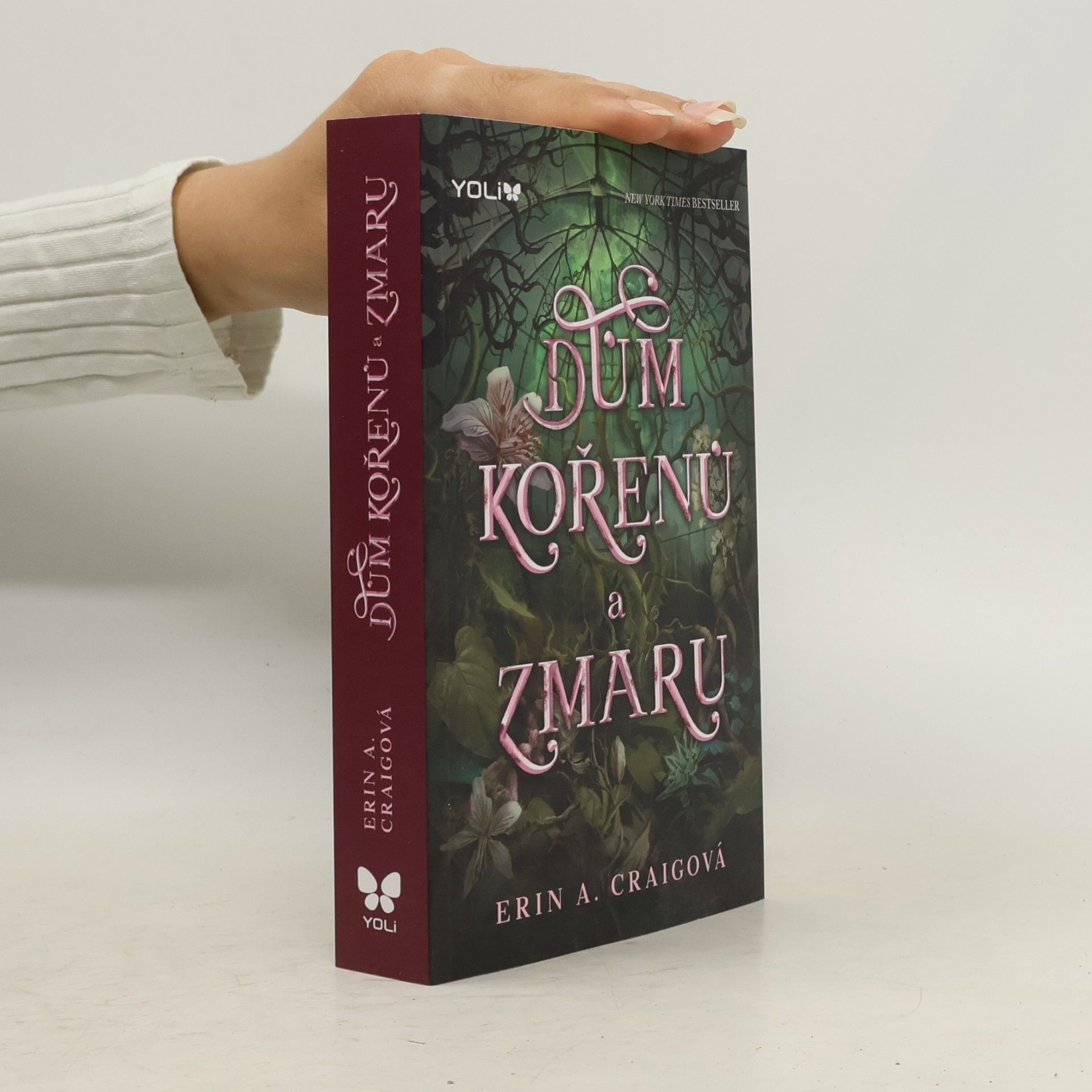Erin A. Craig Dům kořenů a zmaru