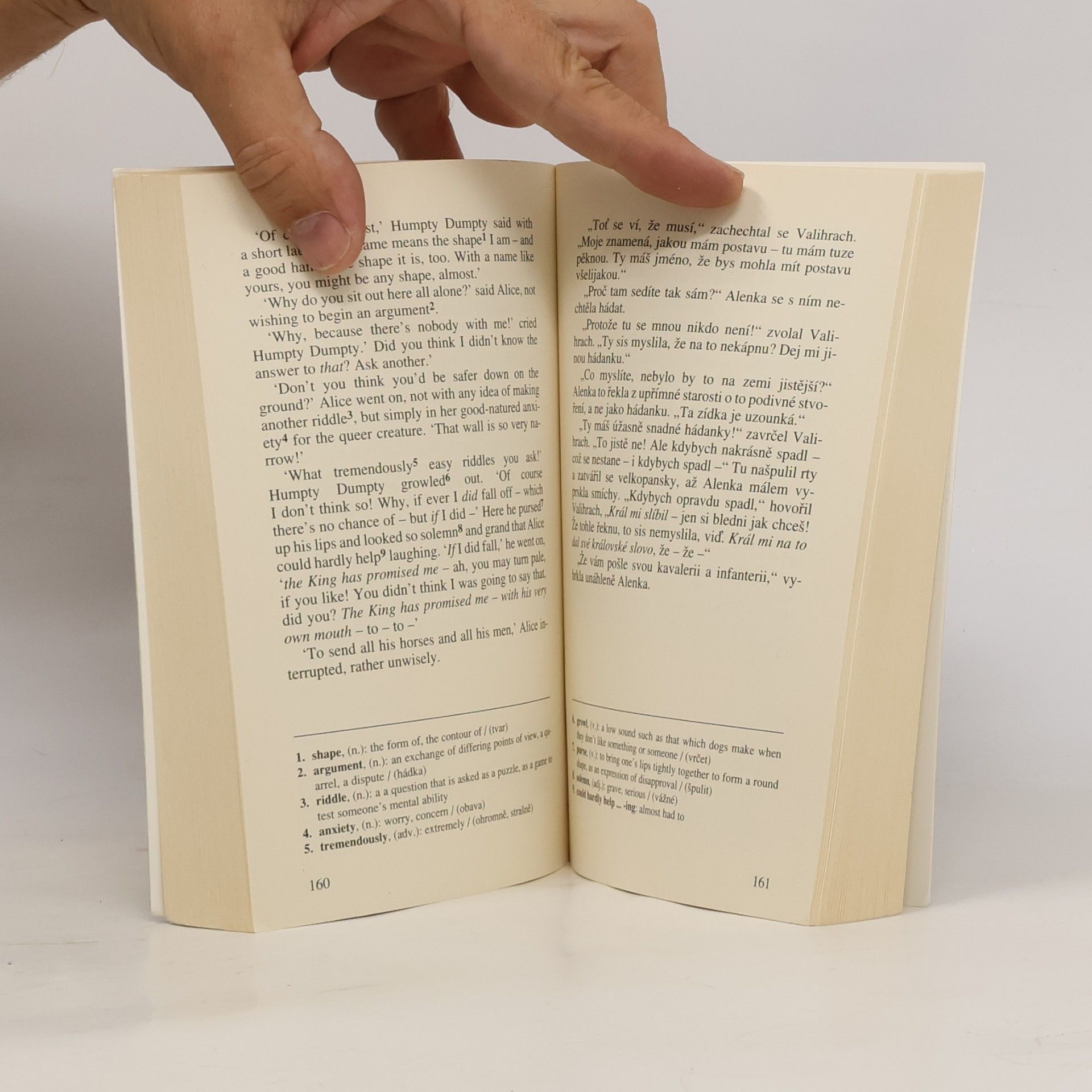 Lewis Carroll Through the looking glass = Alenka za zrcadlem