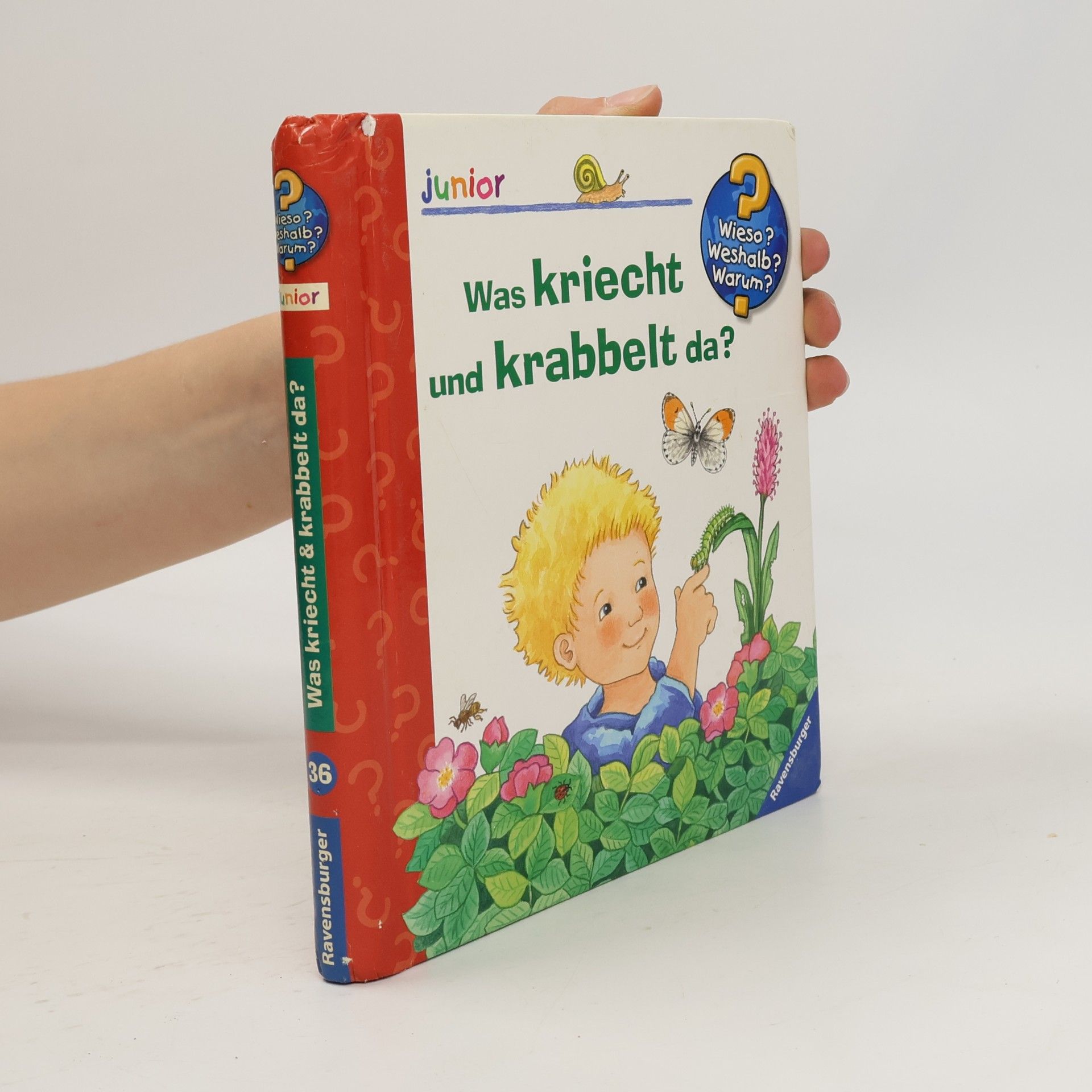 Irmgard Eberhard Was kriecht und krabbelt da?