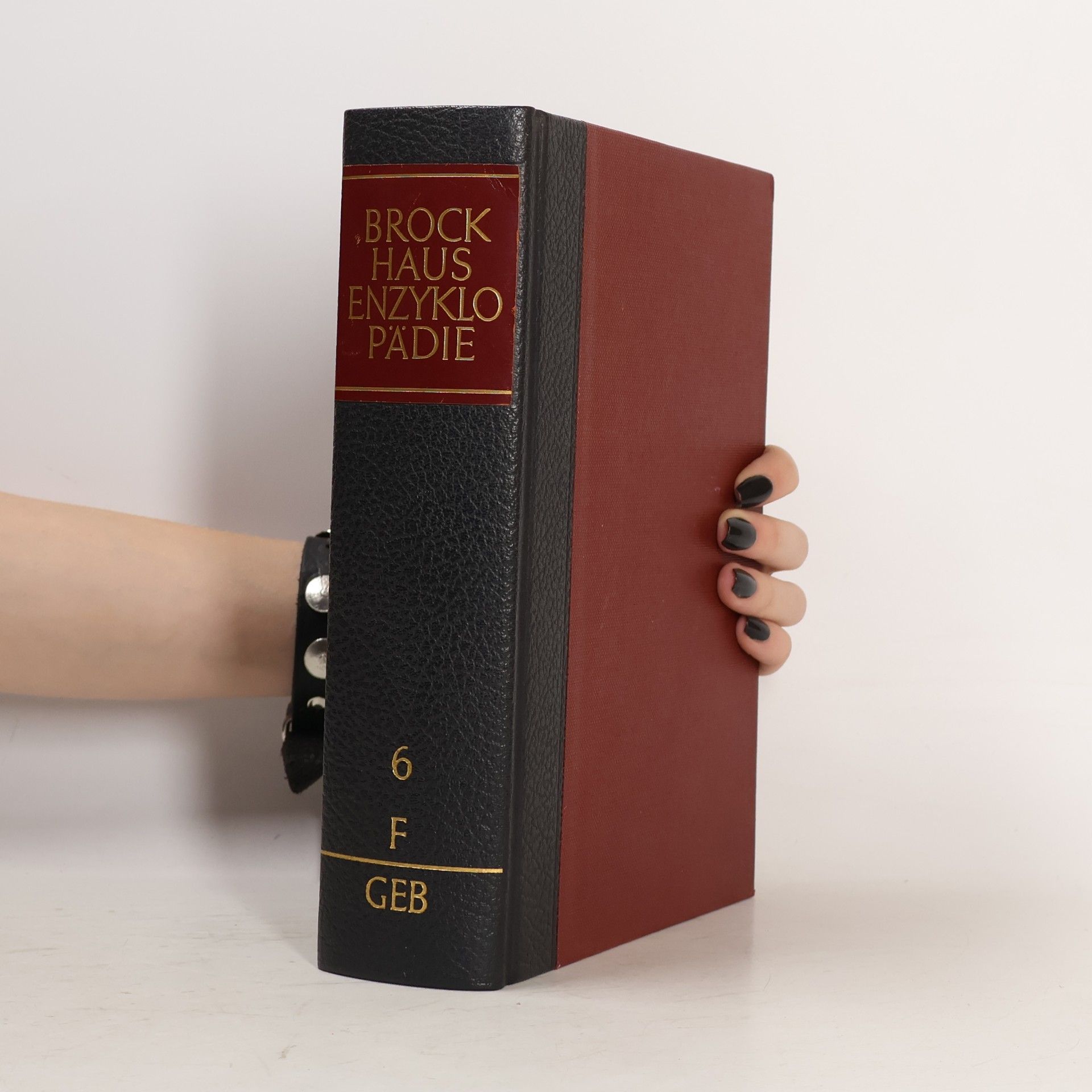 Autorenkollektiv Brockhaus Enzyklopädie 6