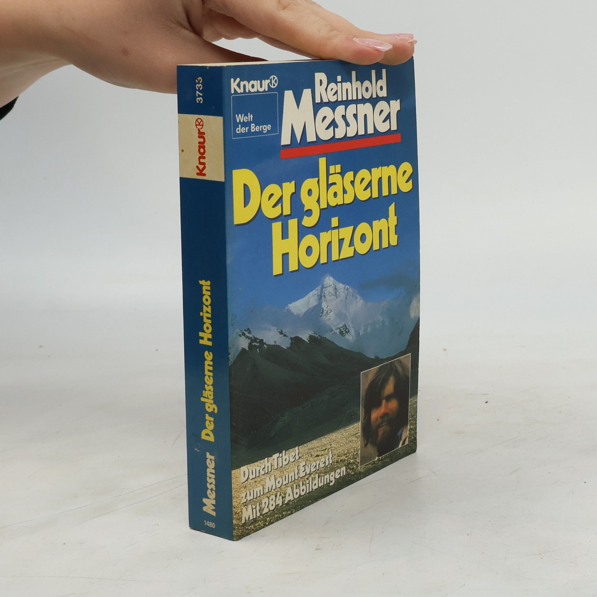 Der gläserne Horizont
