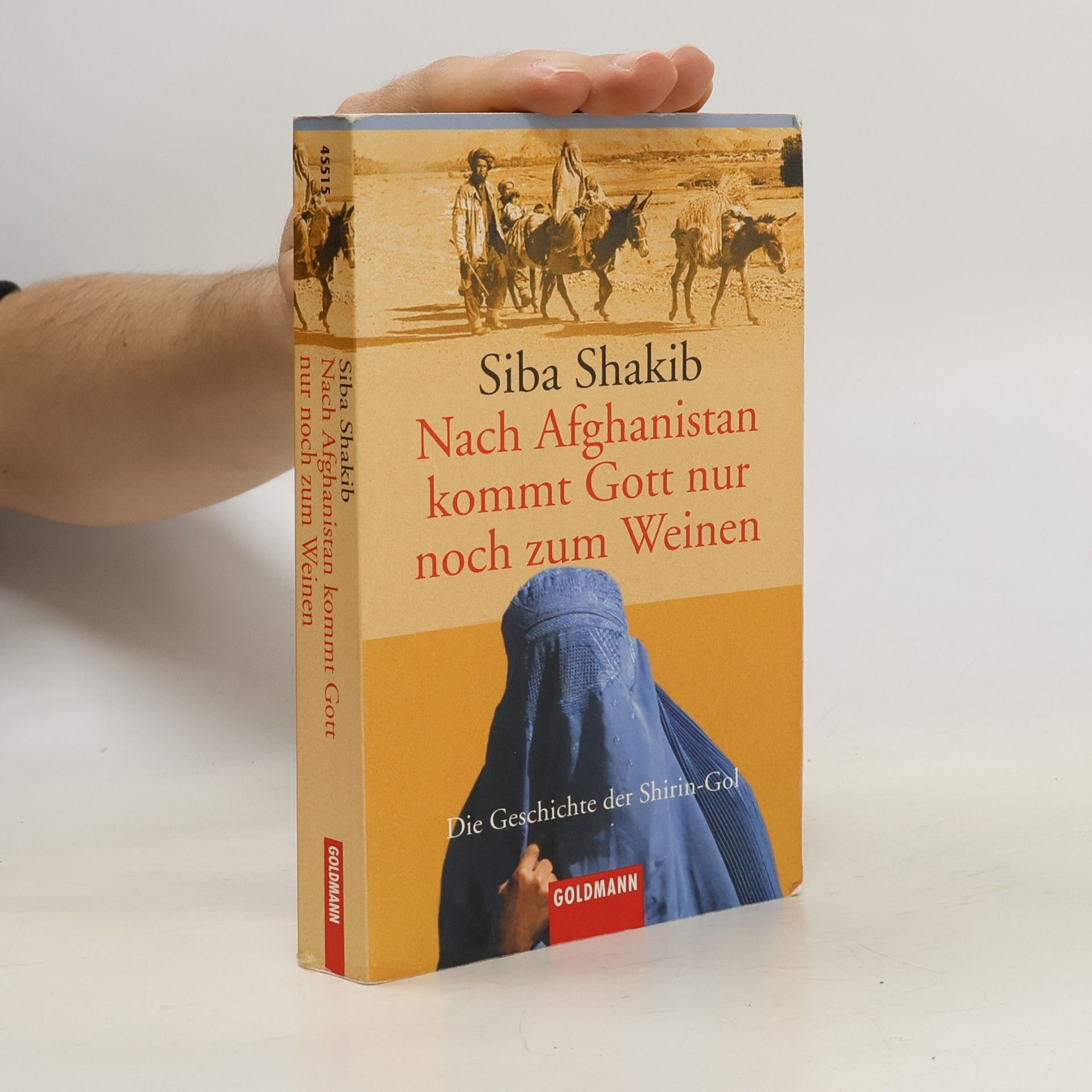 Síba Shakib Nach Afghanistan kommt Gott nur noch zum Weinen