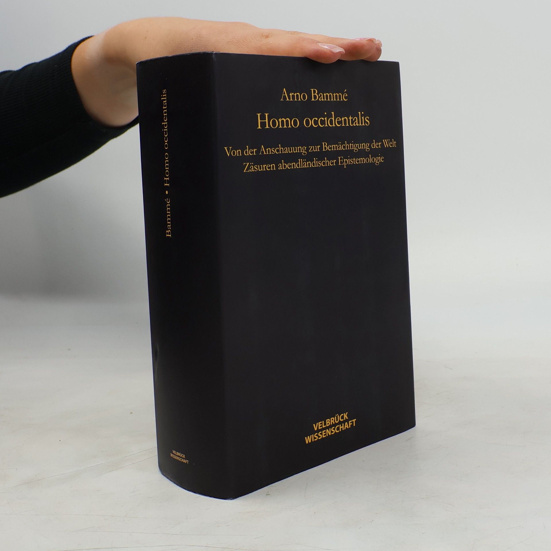 Günter Dux Homo occidentalis