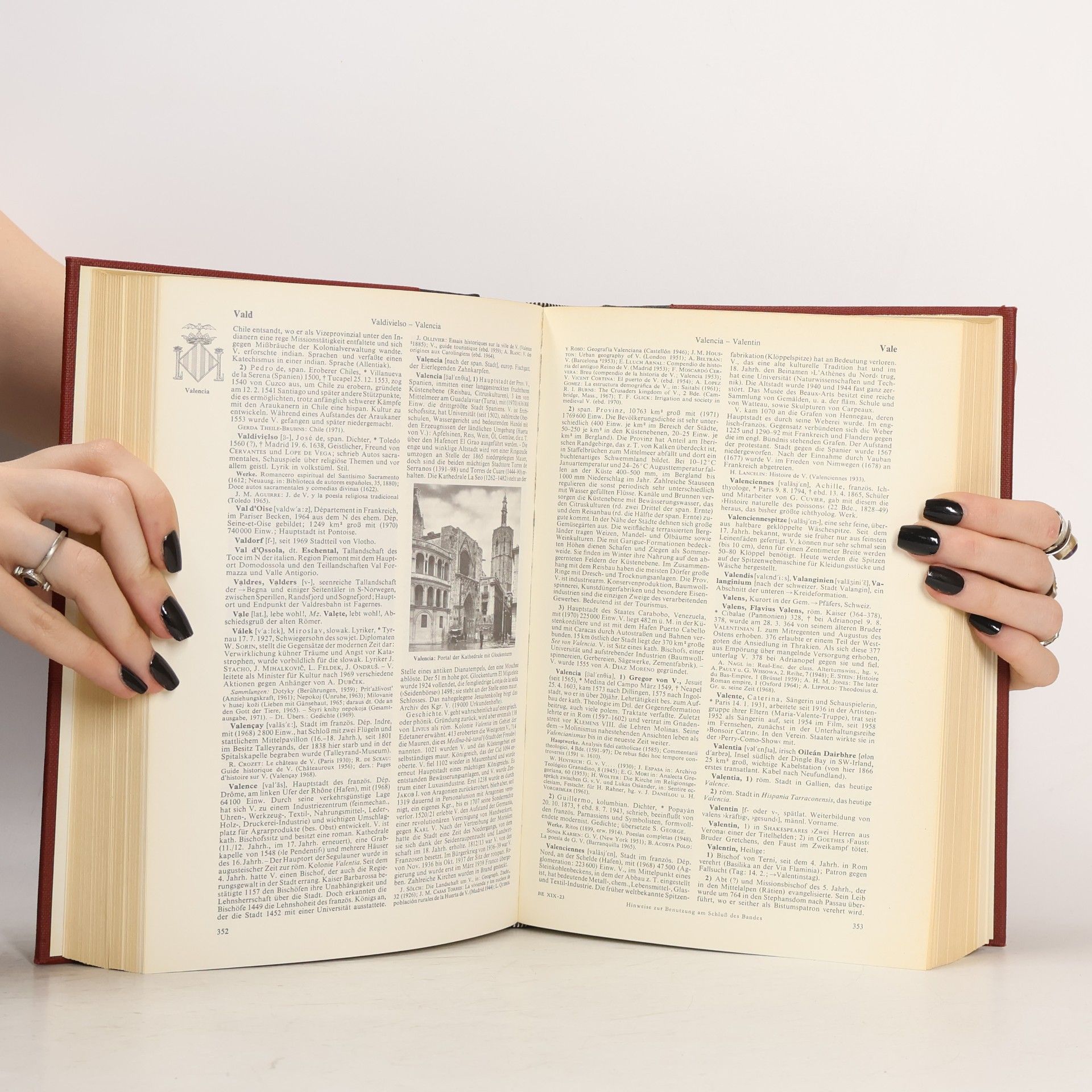 kolektiv Brockhaus Enzyklopädie 19. TRIF-WAL