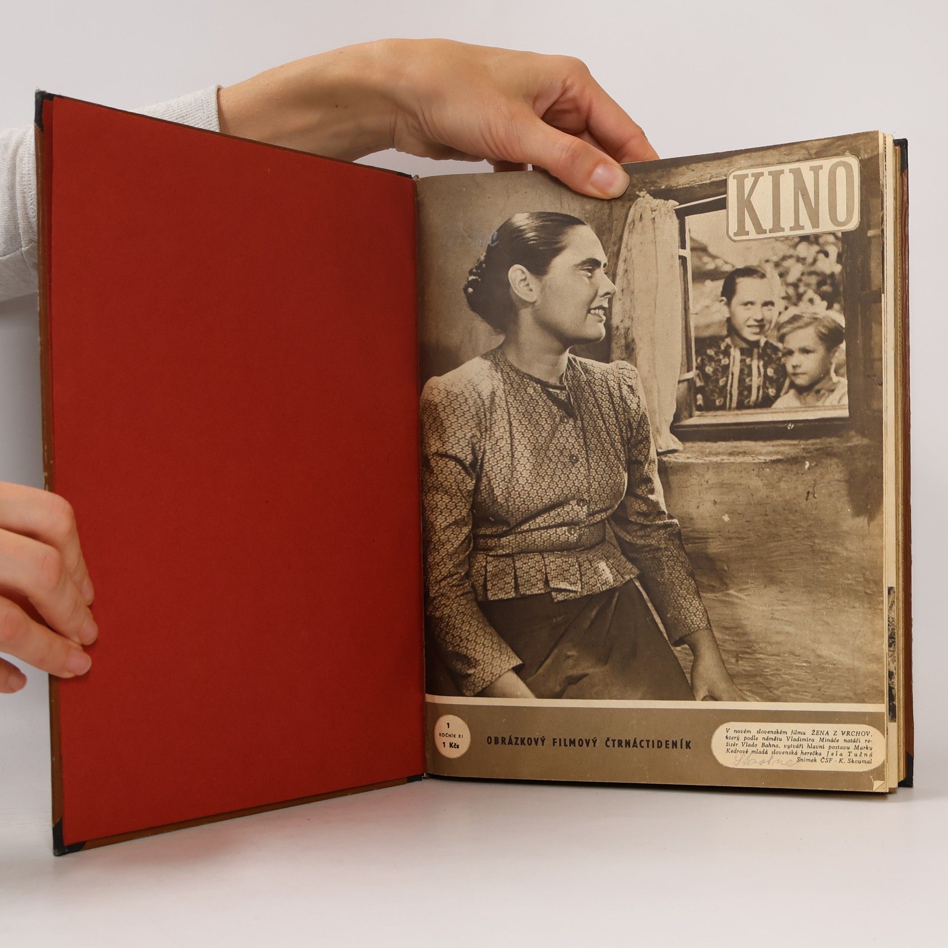 kolektiv Kino XI.