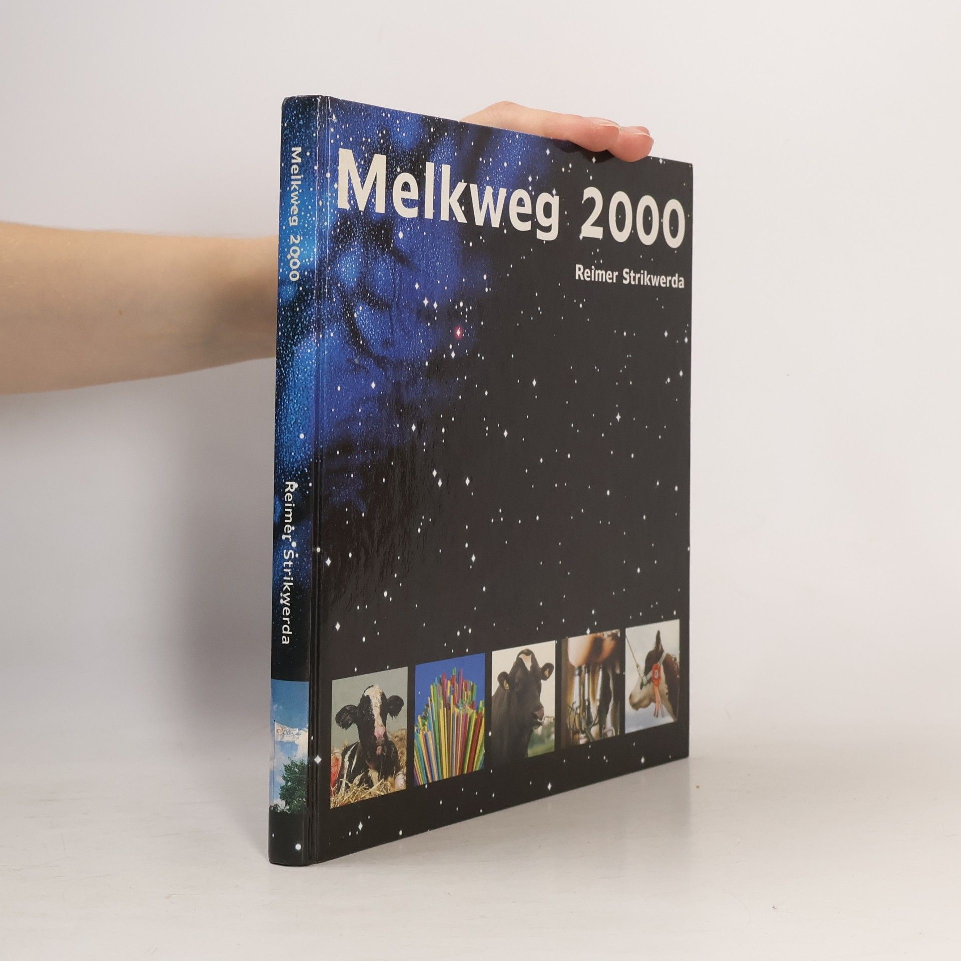 Reimer Strikwerda Melkweg 2000