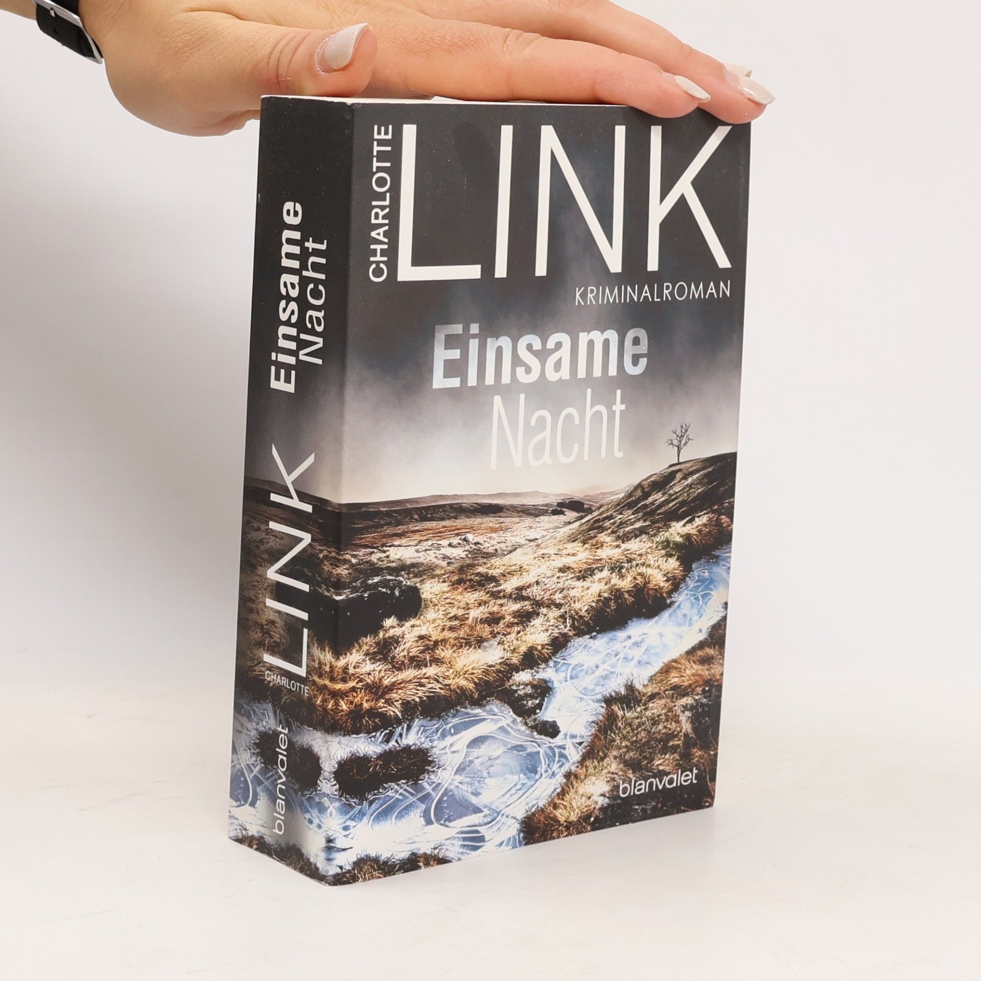 Charlotte Link Einsame Nacht