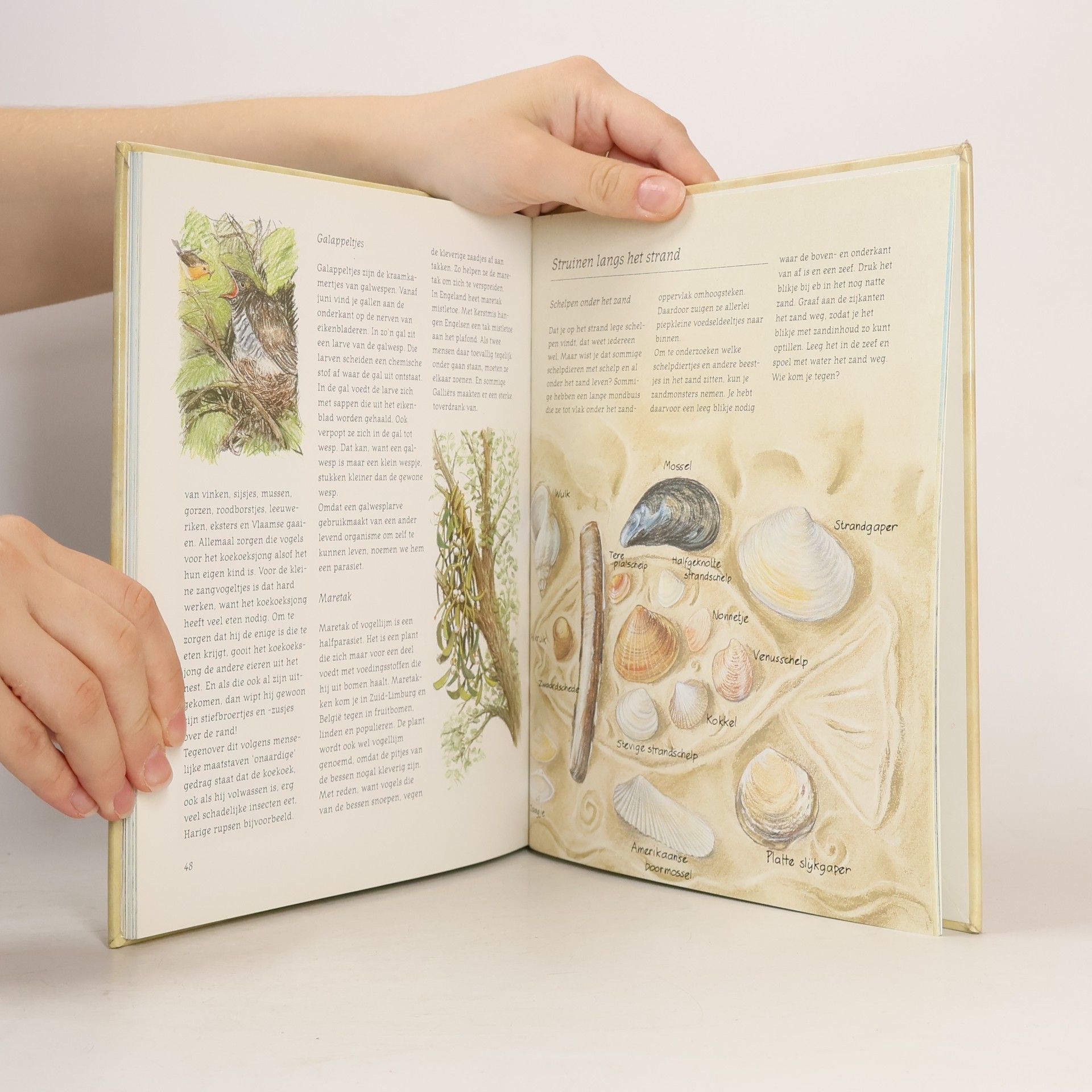 Van Lier, Bas Het natuurboek voor kinderen