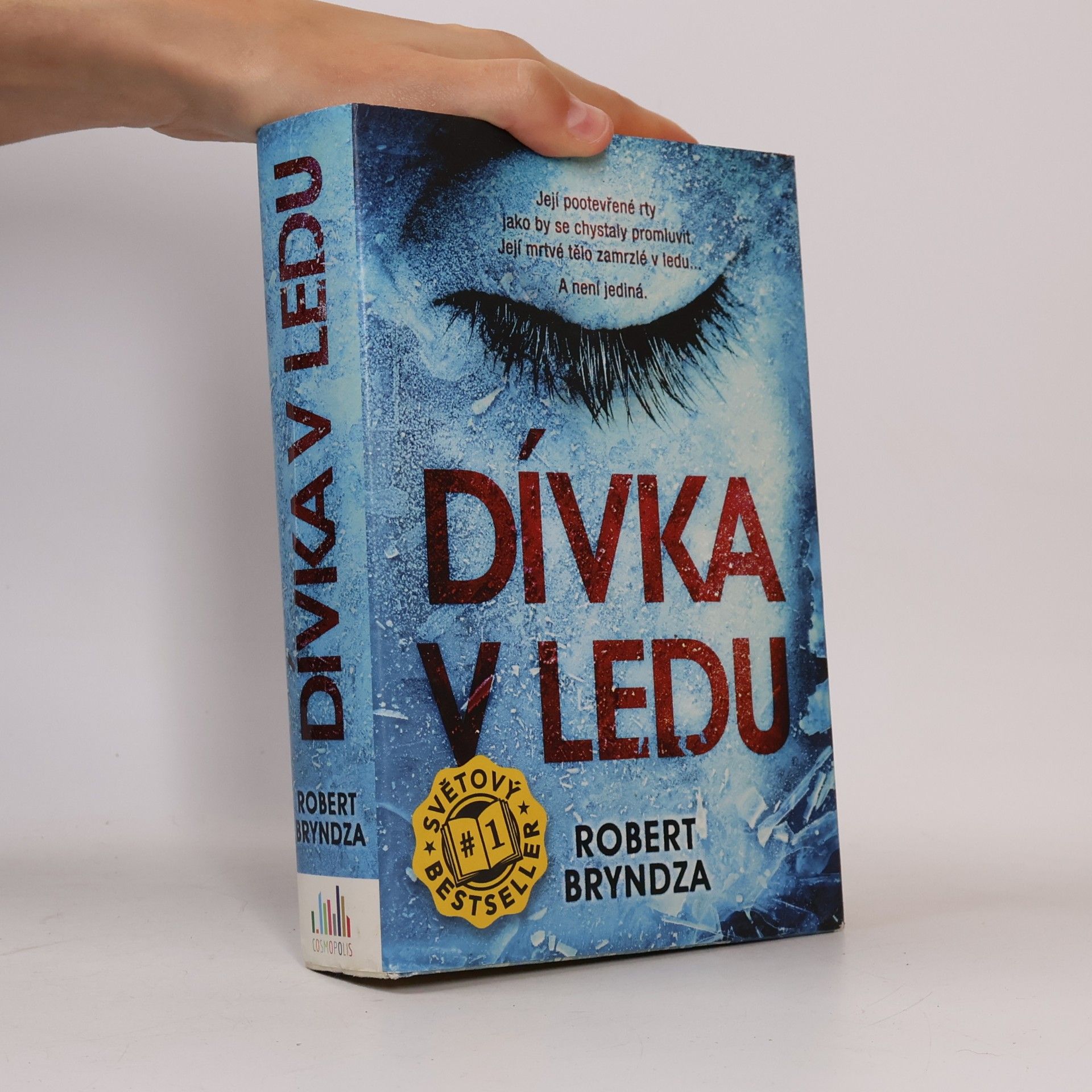 Robert Bryndza Dívka v ledu