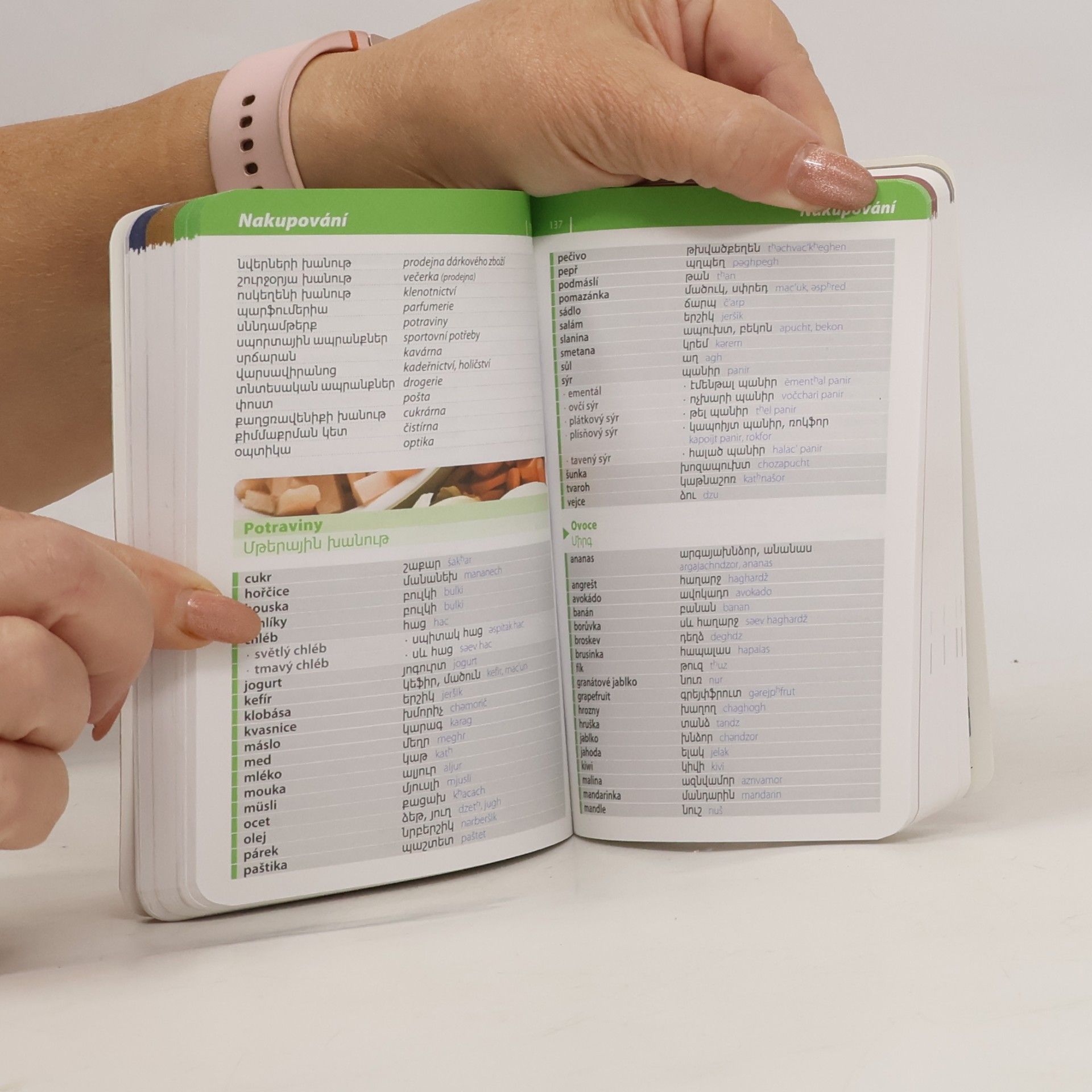 Autores varios Arménština : konverzace : se slovníkem a gramatikou