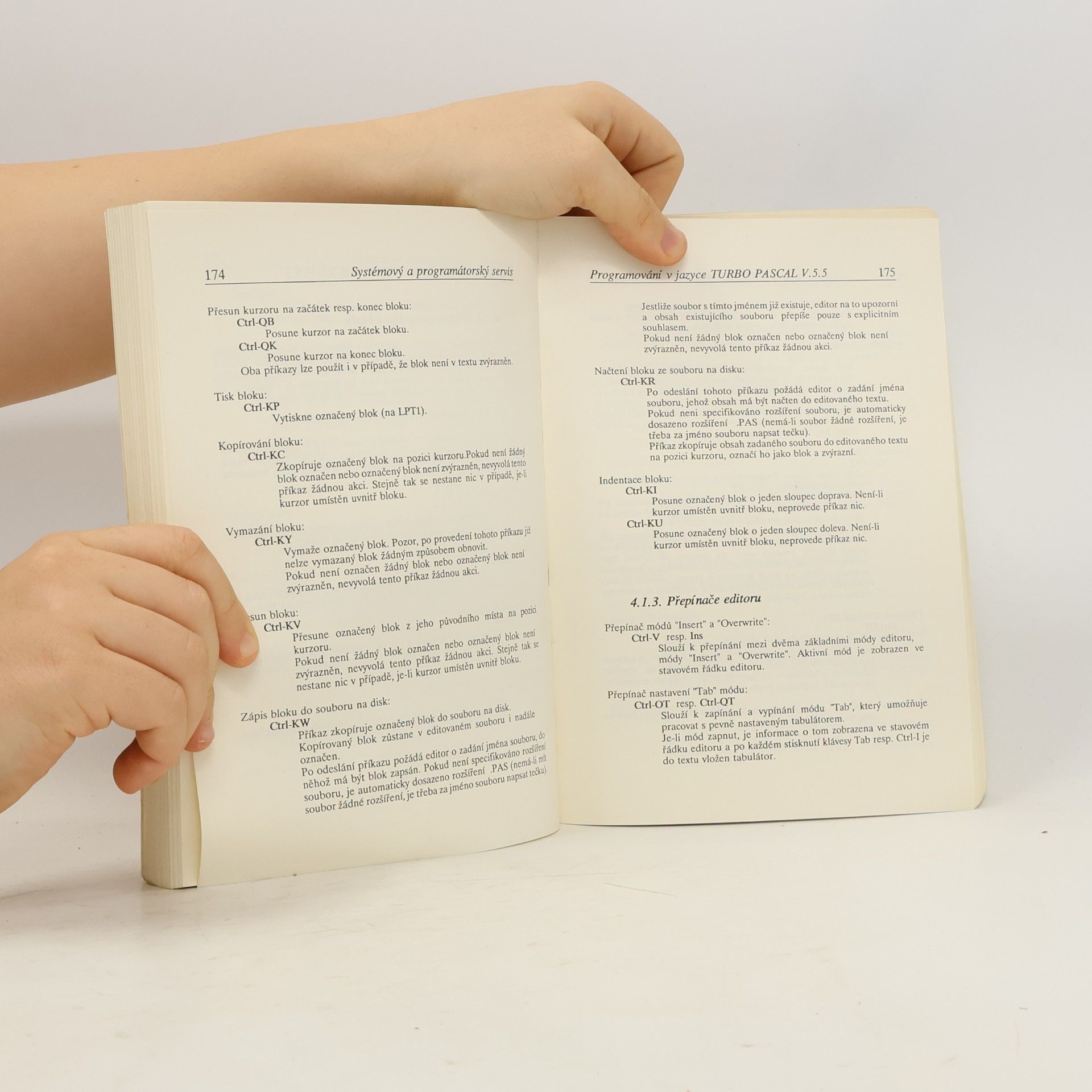 Tomáš Rubač Programování v jazyce TURBO PASCAL V.5.5, 1