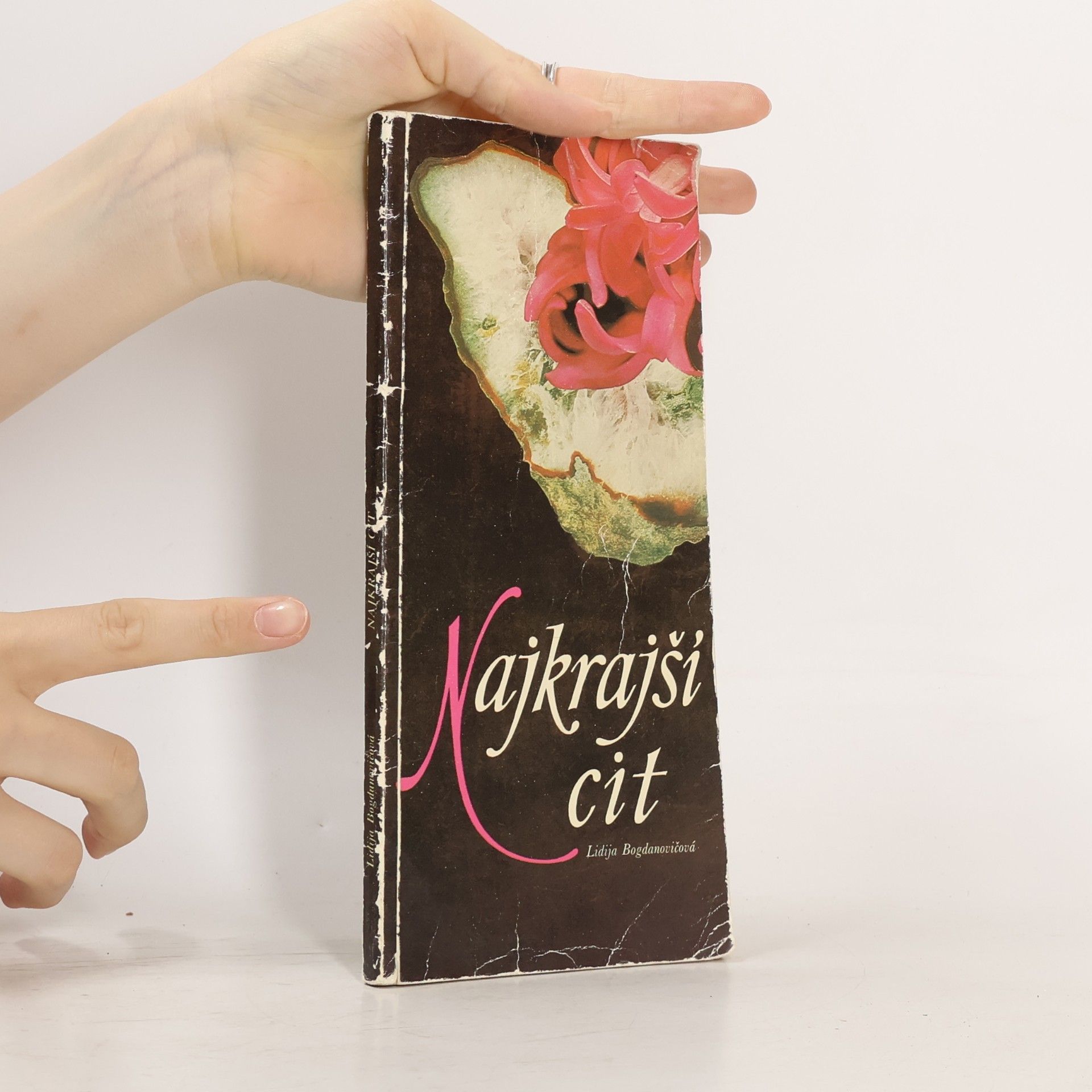 Lidija  Bogdanovičová Najkrajší cit