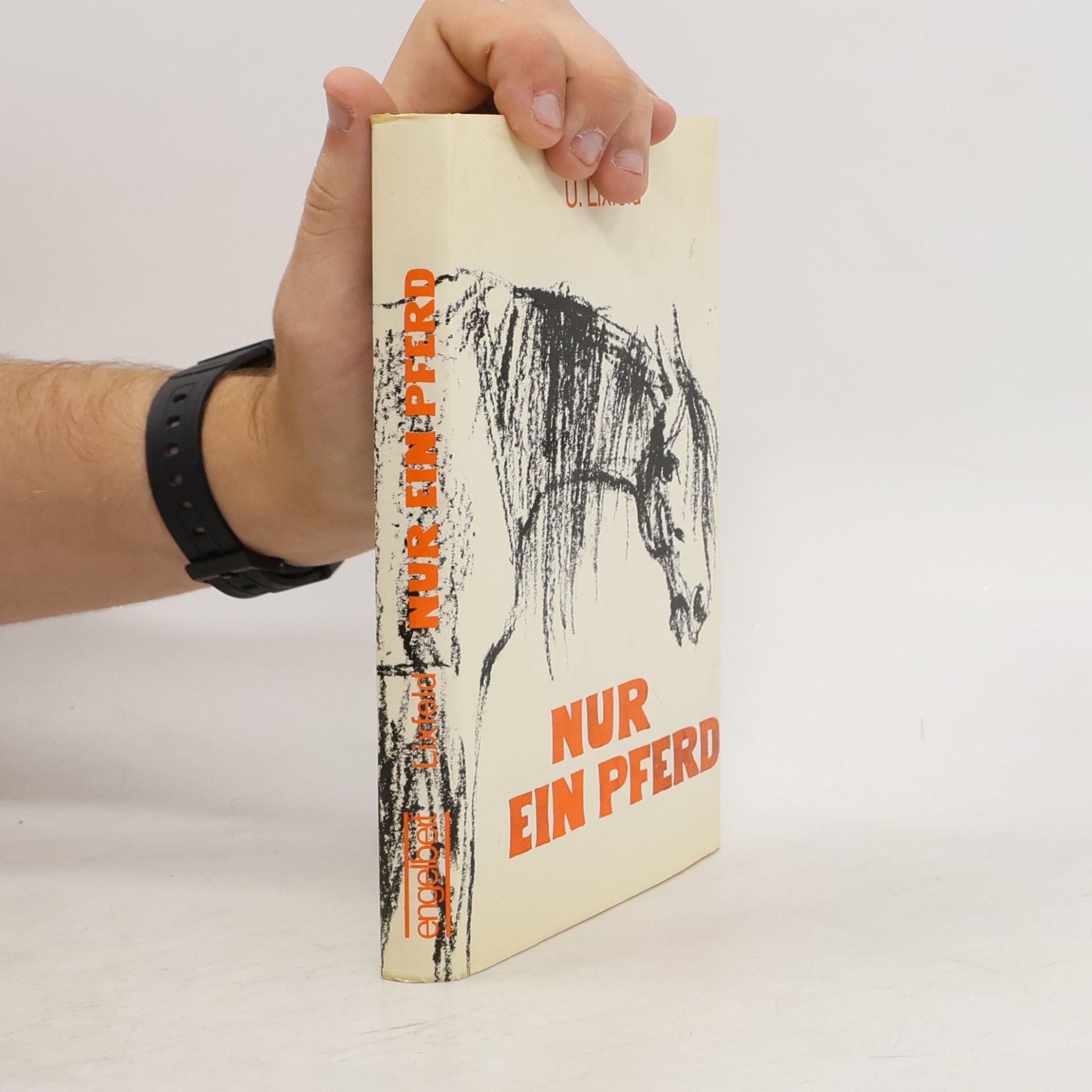 Ursula Lixfeld Nur ein Pferd