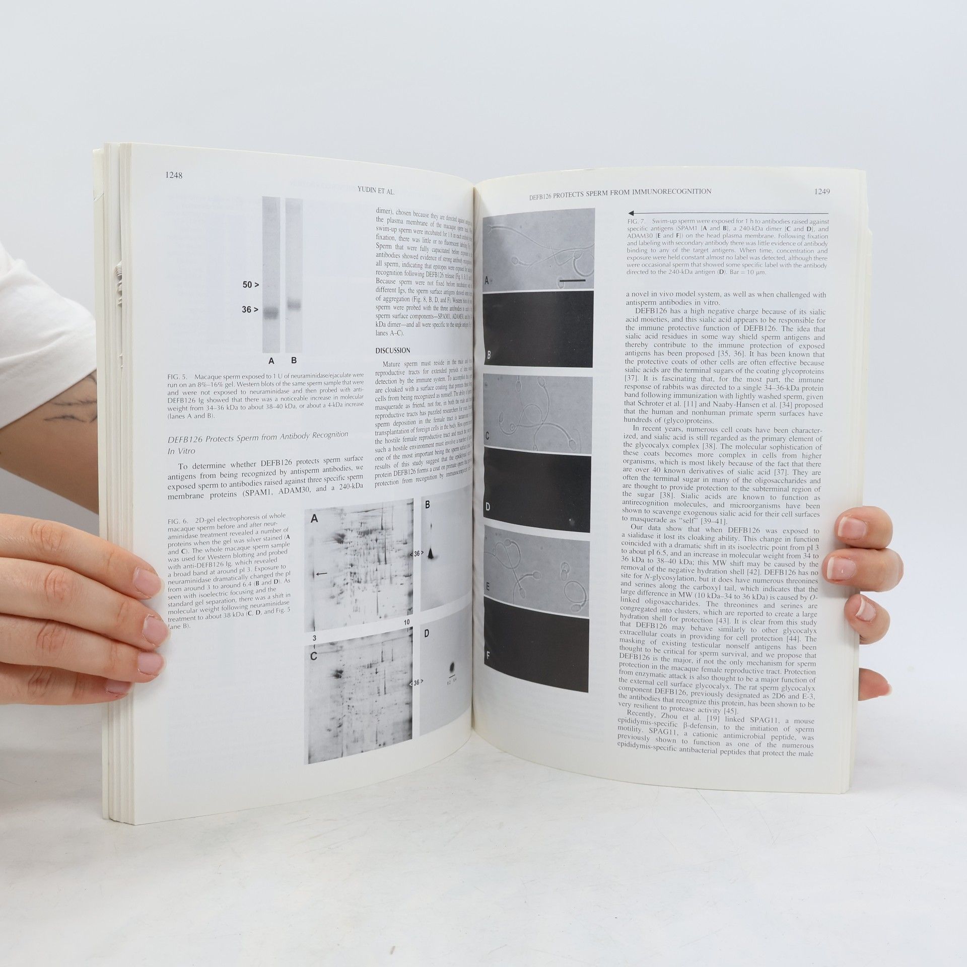 Collectif d'auteurs Biology of Reproduction 6