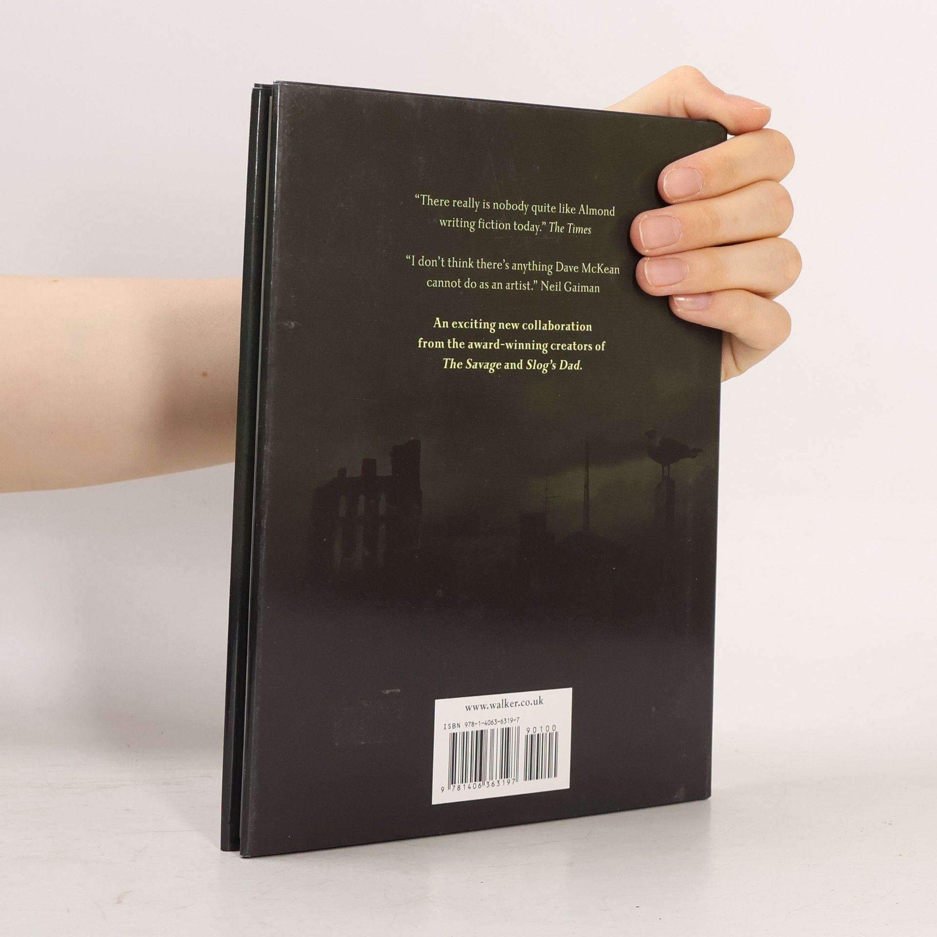 David Almond Joe Quinn's Poltergeist