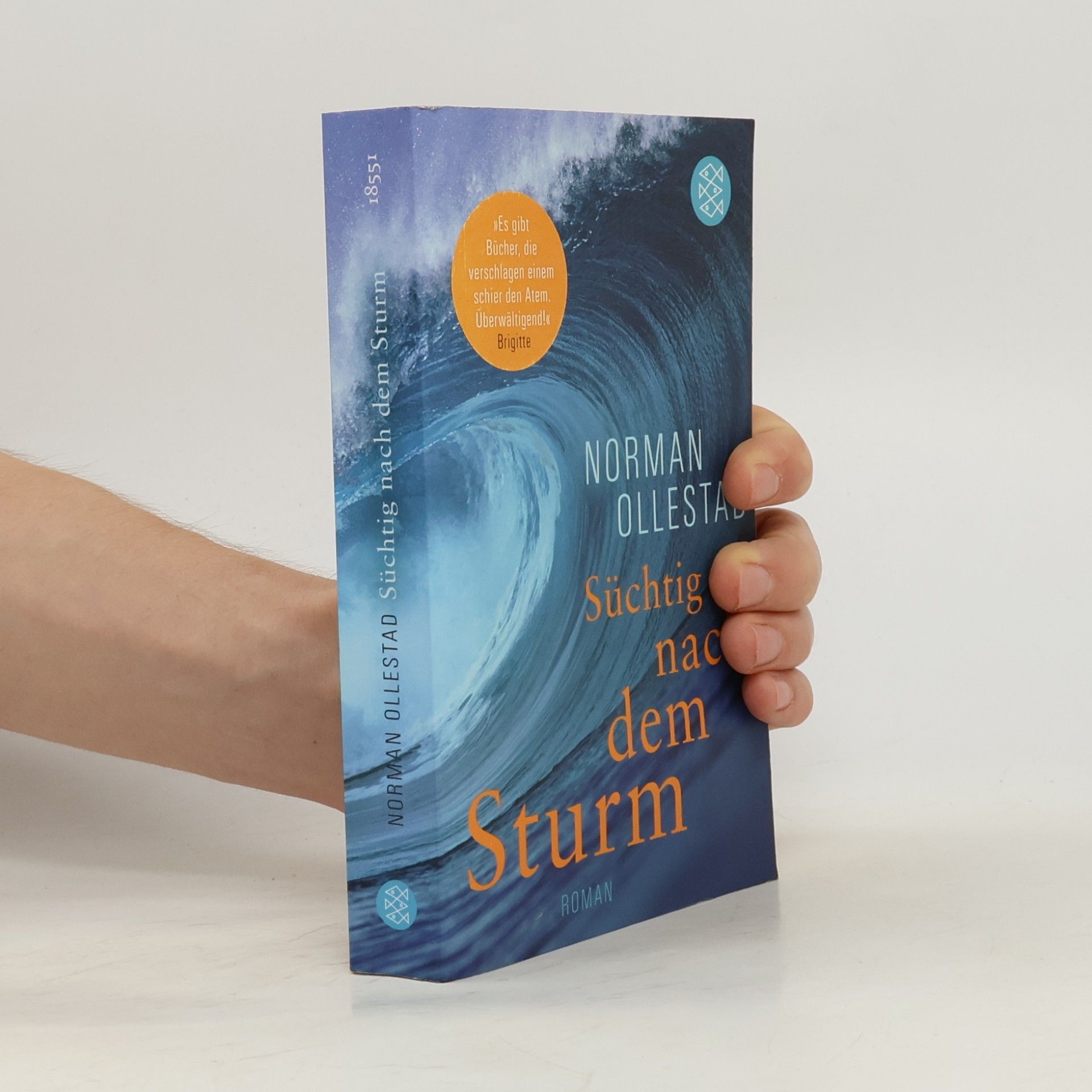 Norman Ollestad Süchtig nach dem Sturm