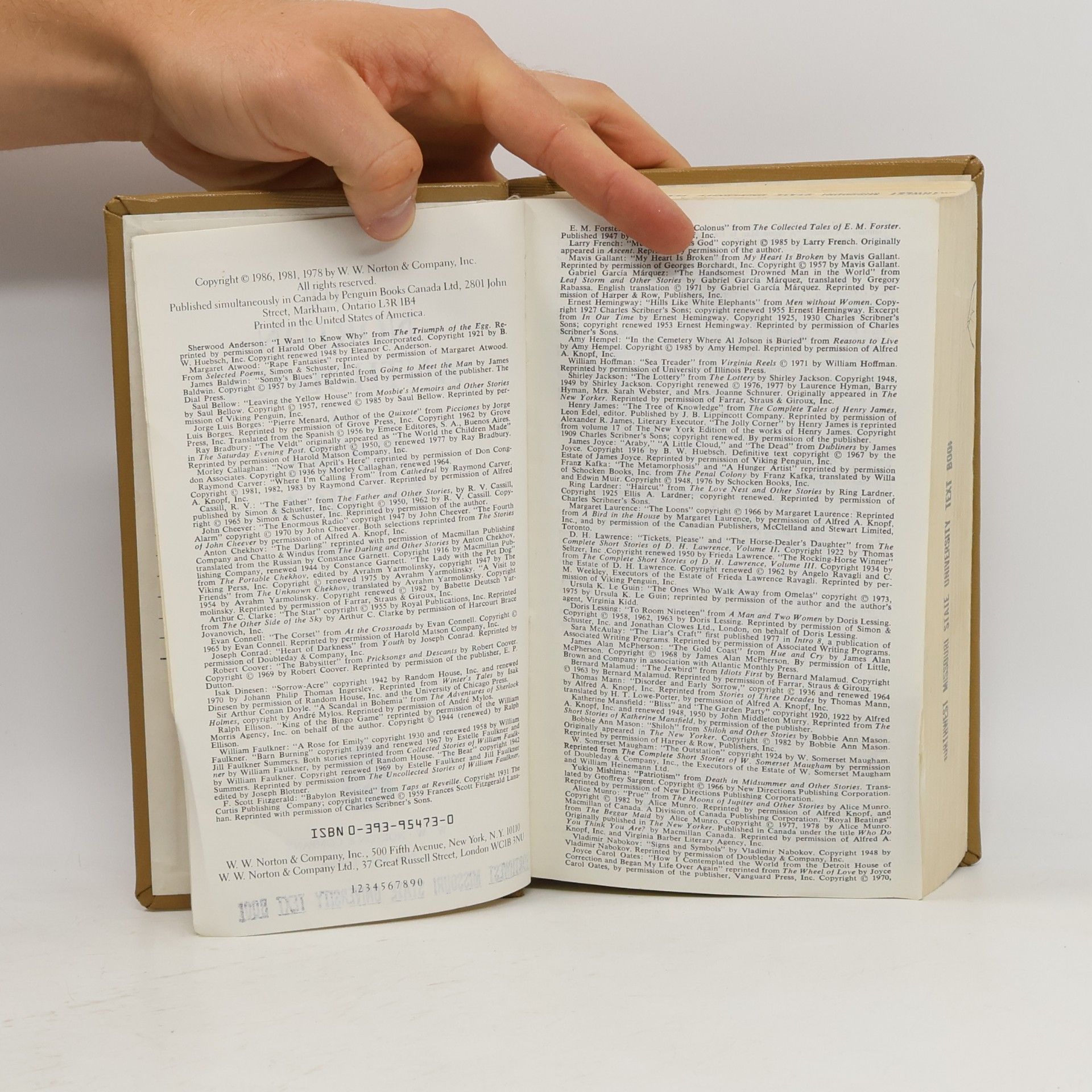 R. V. Cassill Norton Anthology of Short Fiction