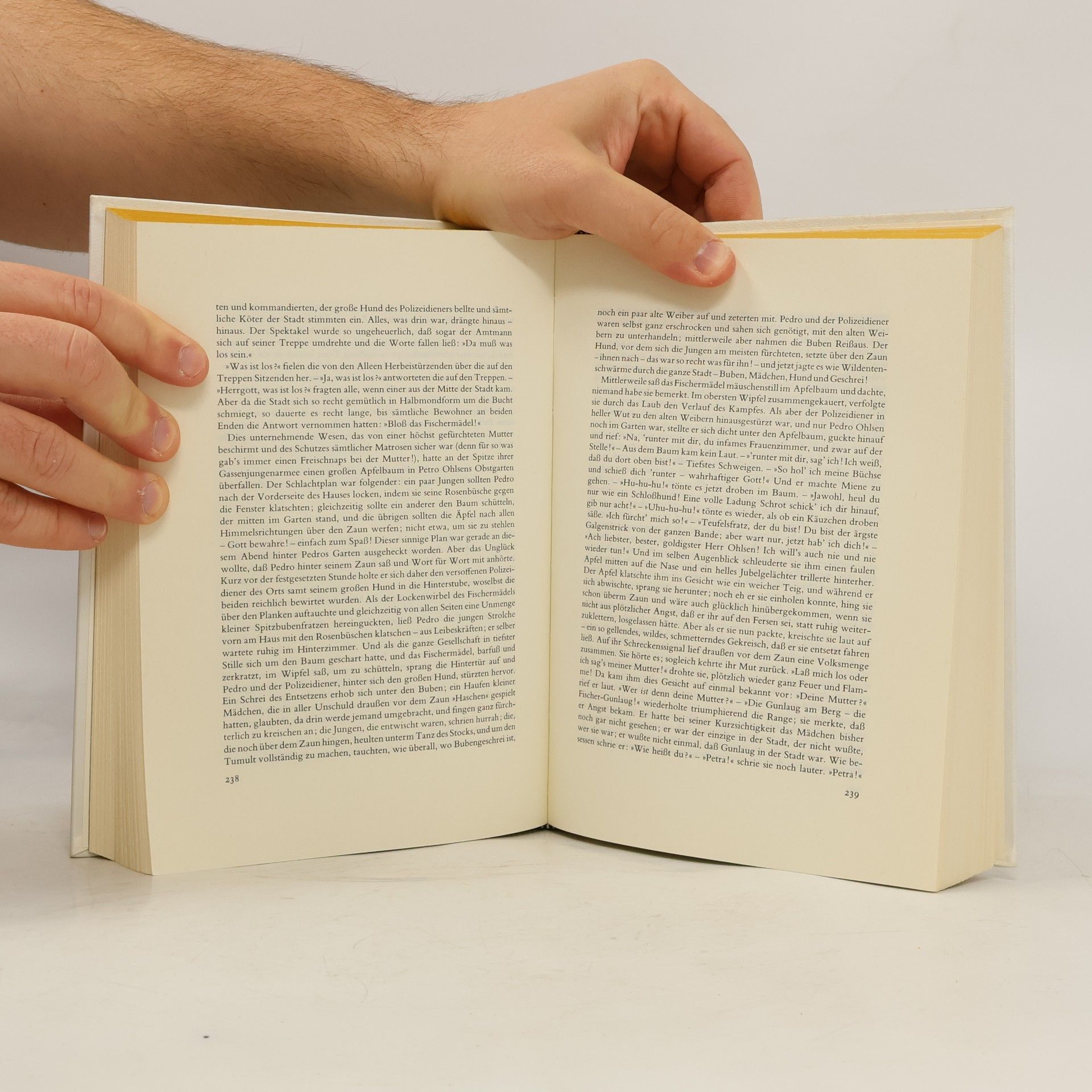 Bjørnstjerne Bjørnson Meisternovellen