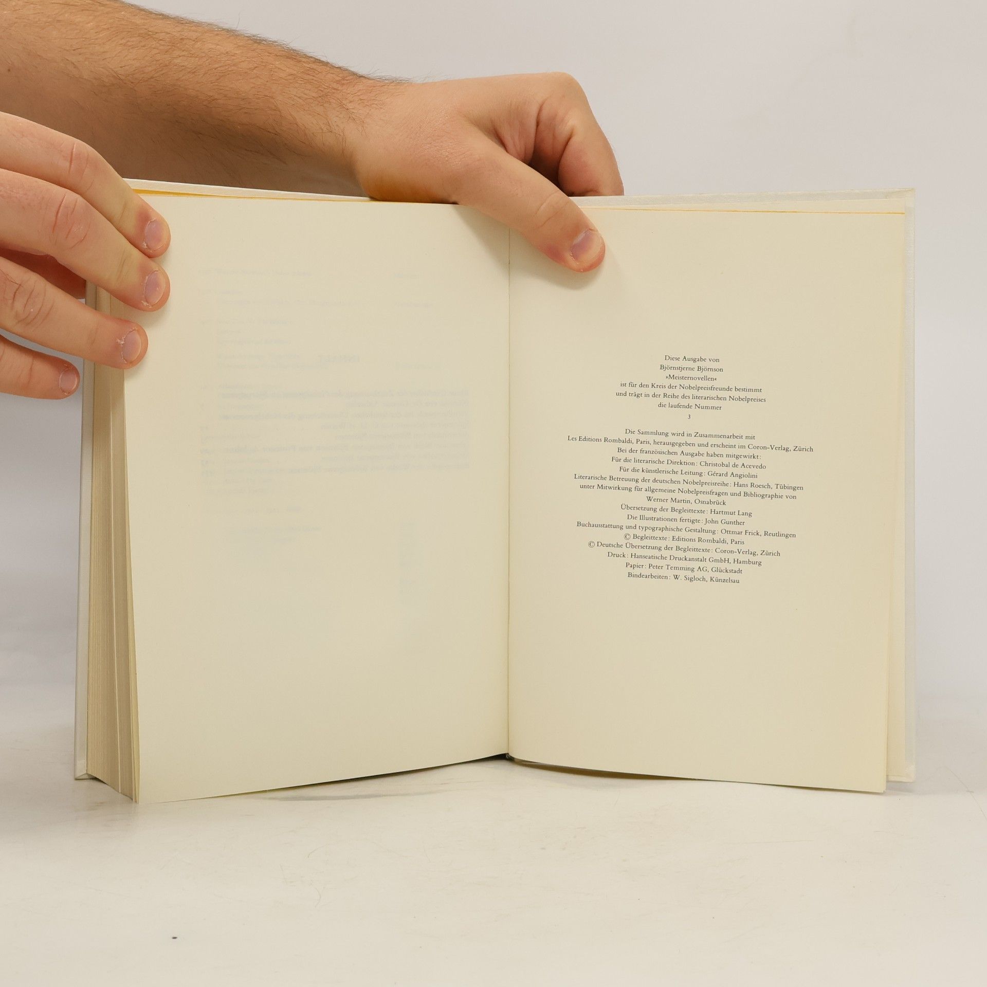 Bjørnstjerne Bjørnson Meisternovellen