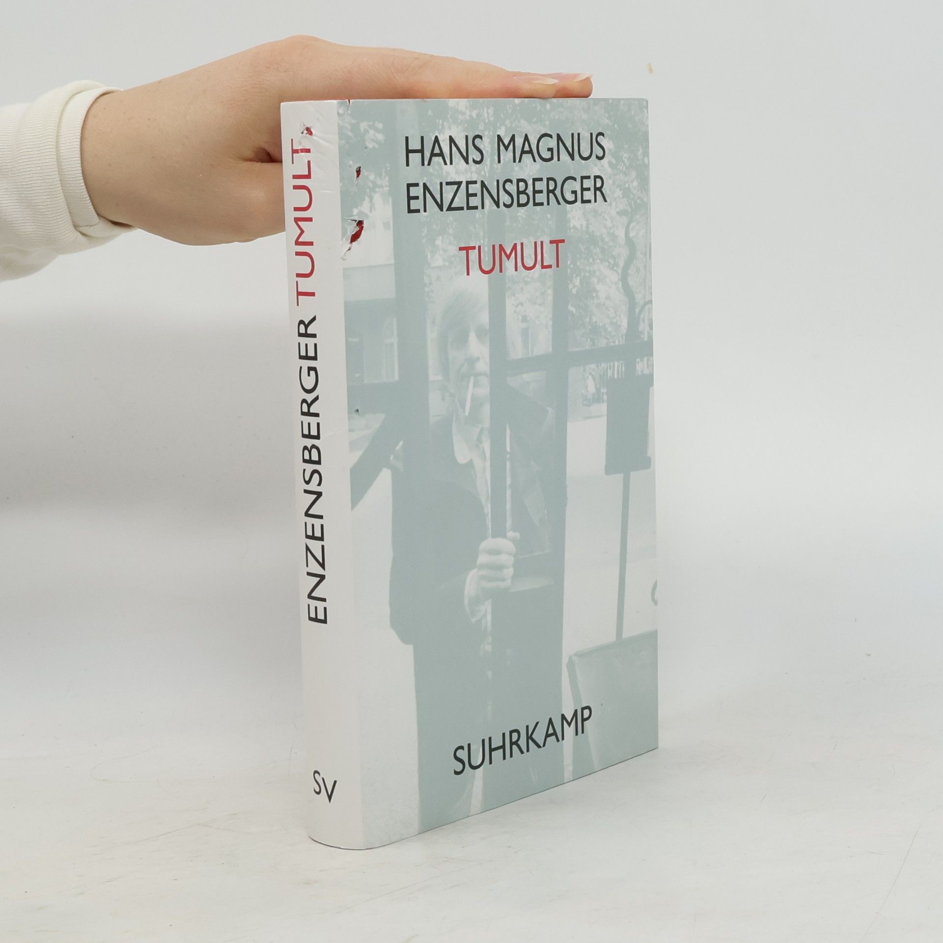 Hans Magnus Enzensberger Tumult