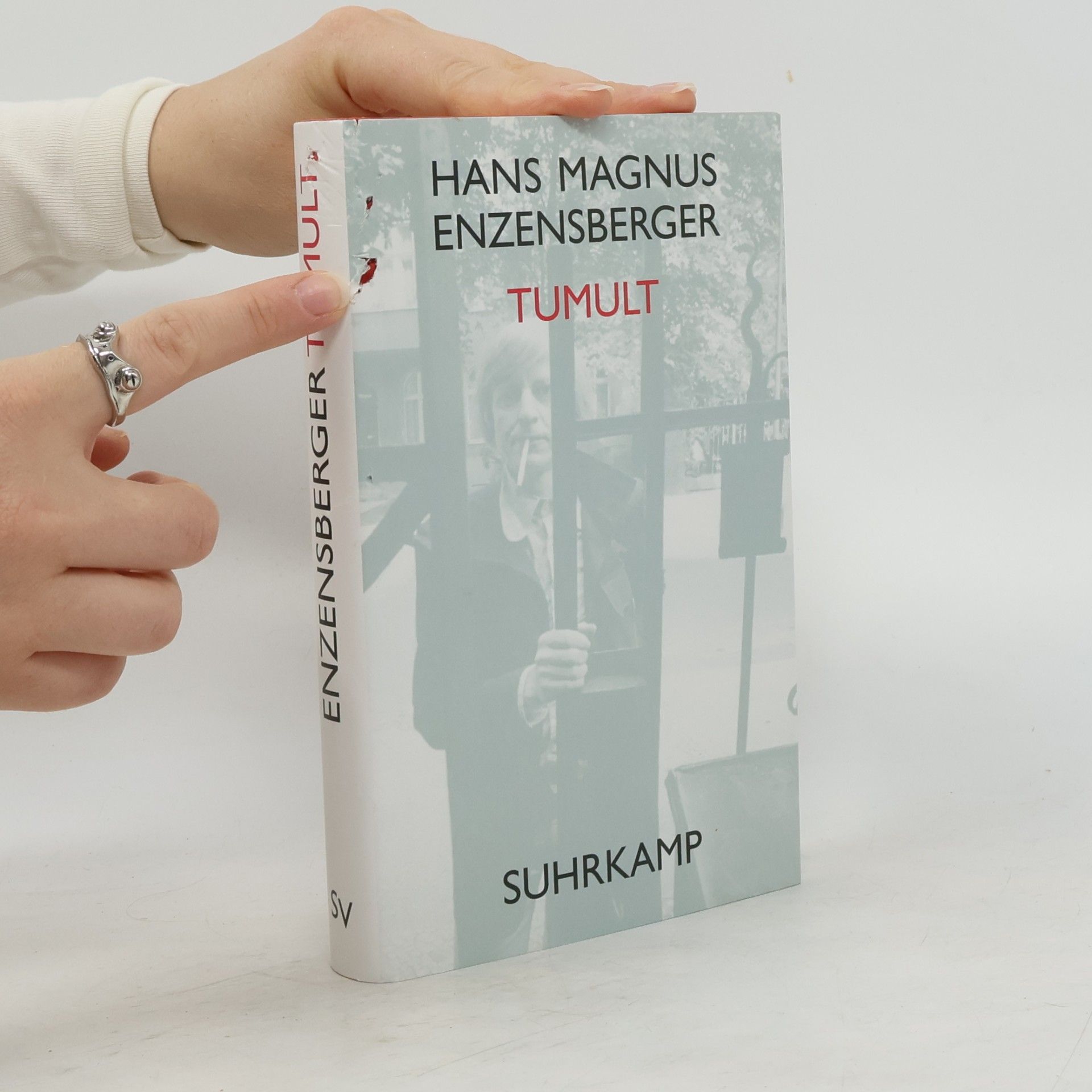 Hans Magnus Enzensberger Tumult