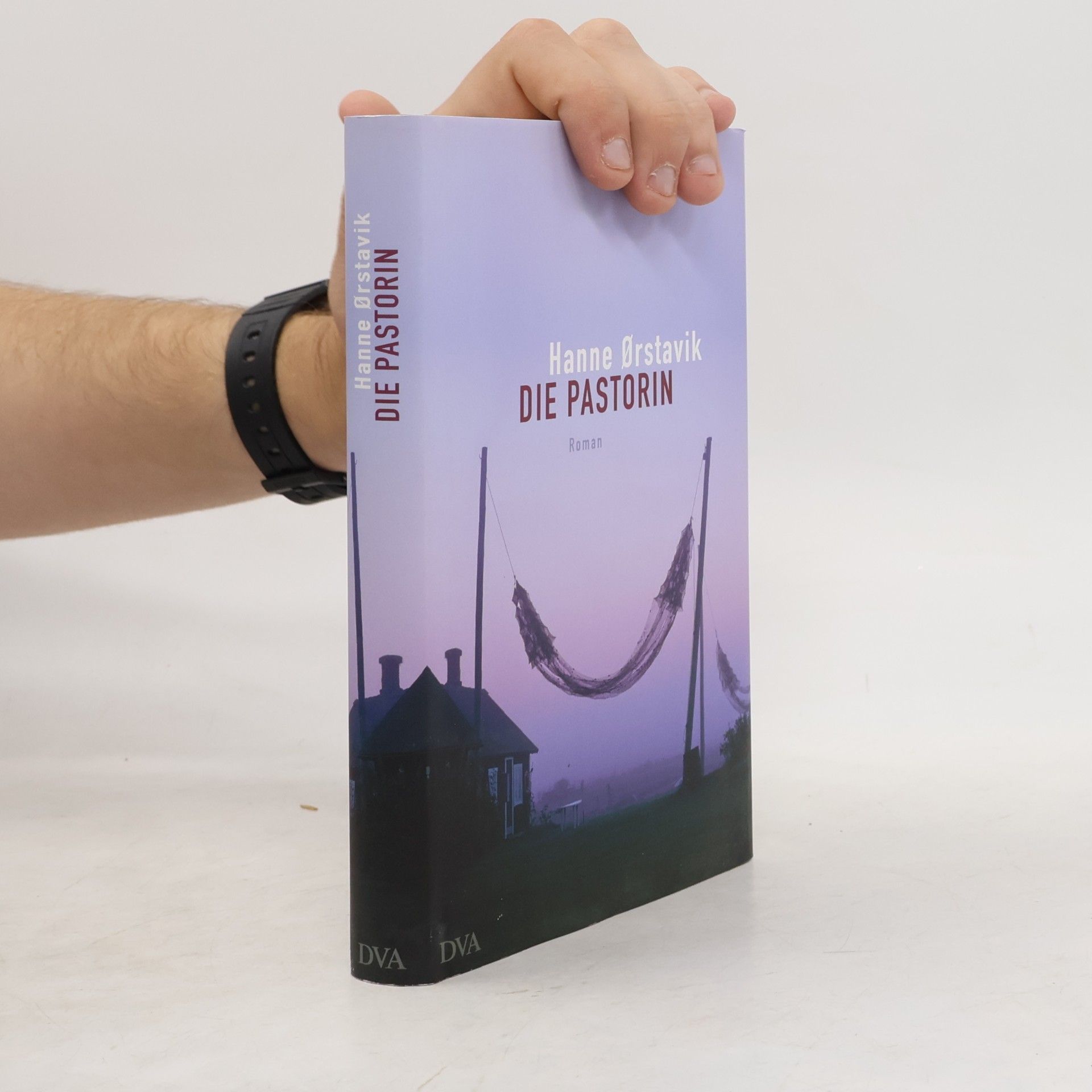 Ina Kronenberger Die Pastorin. Roman