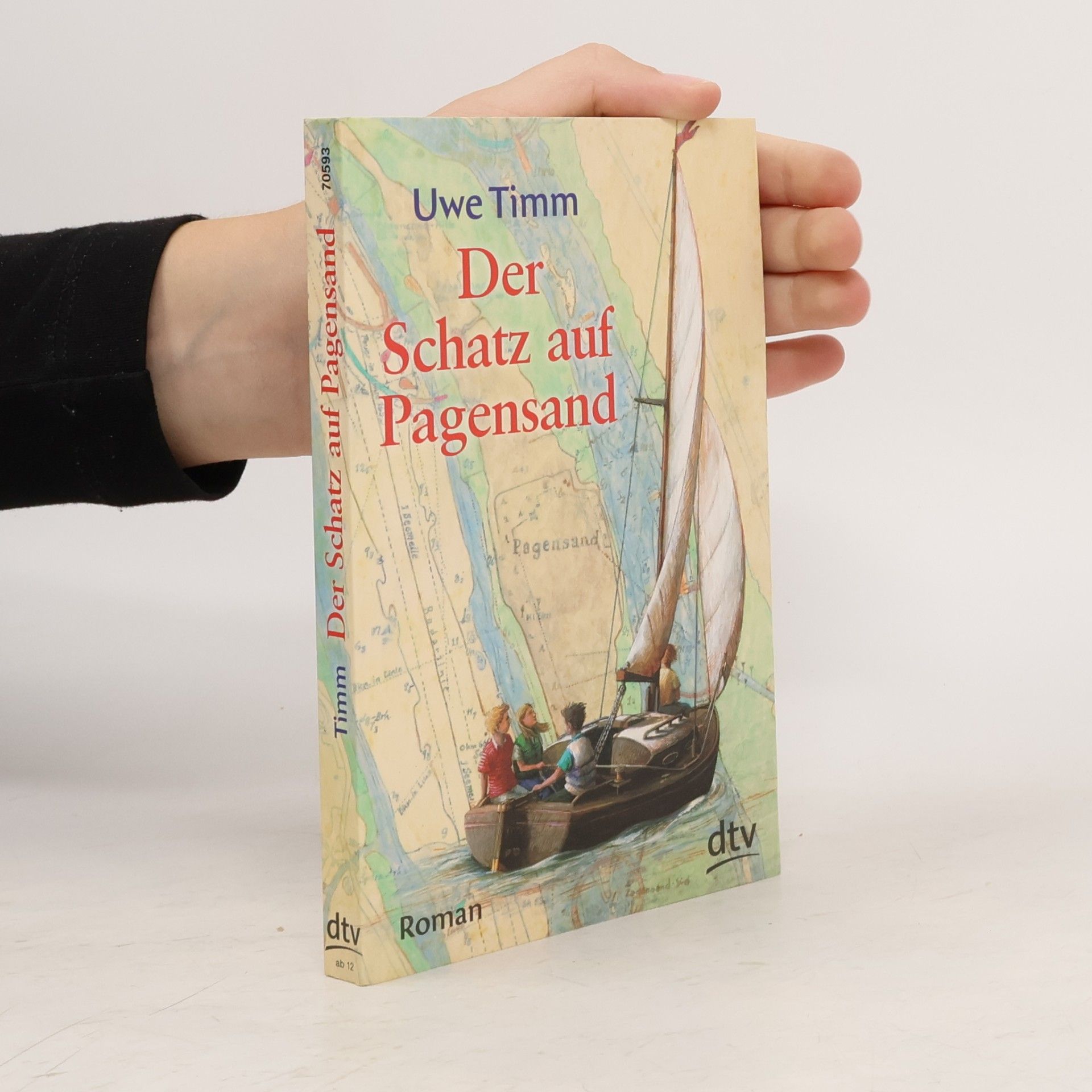 Uve Timm Der Schatz auf Pagensand