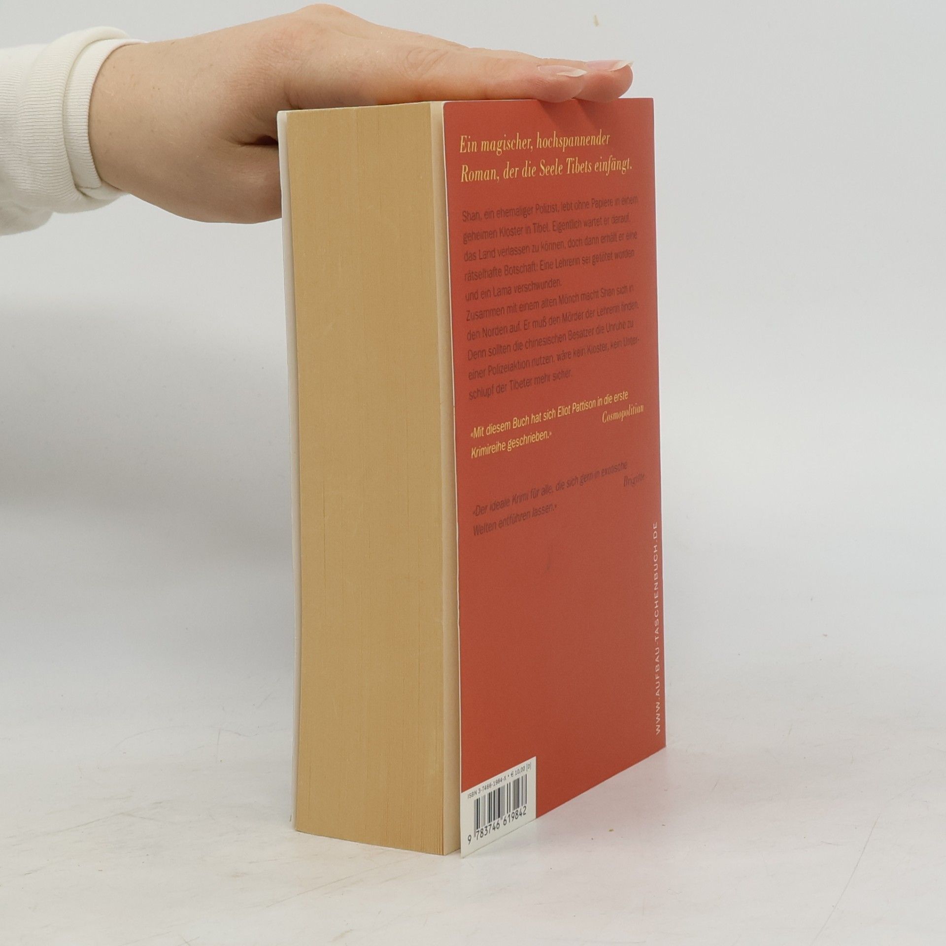Eliot Pattison Das Auge von Tibet