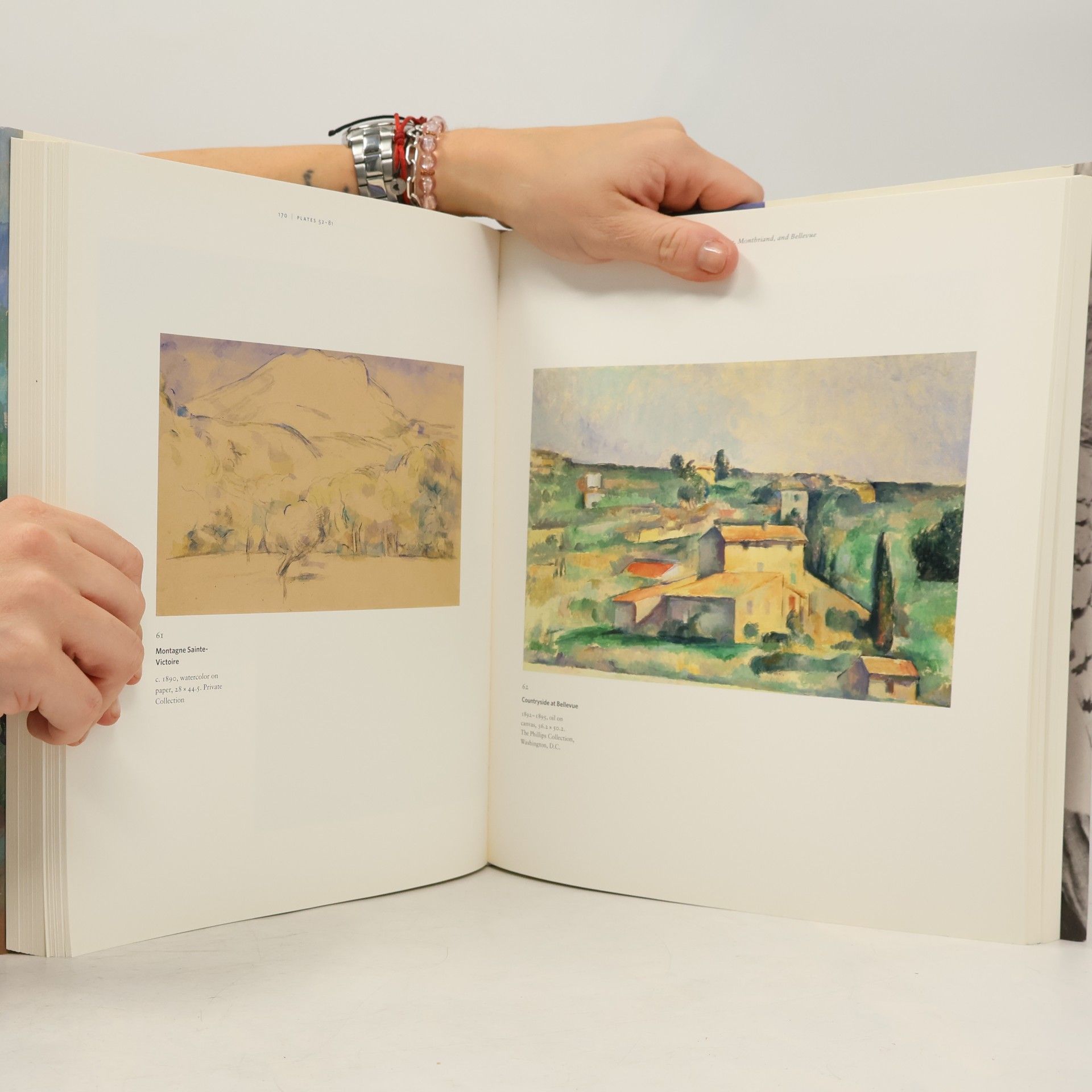 Denis Coutagne Cézanne in Provence