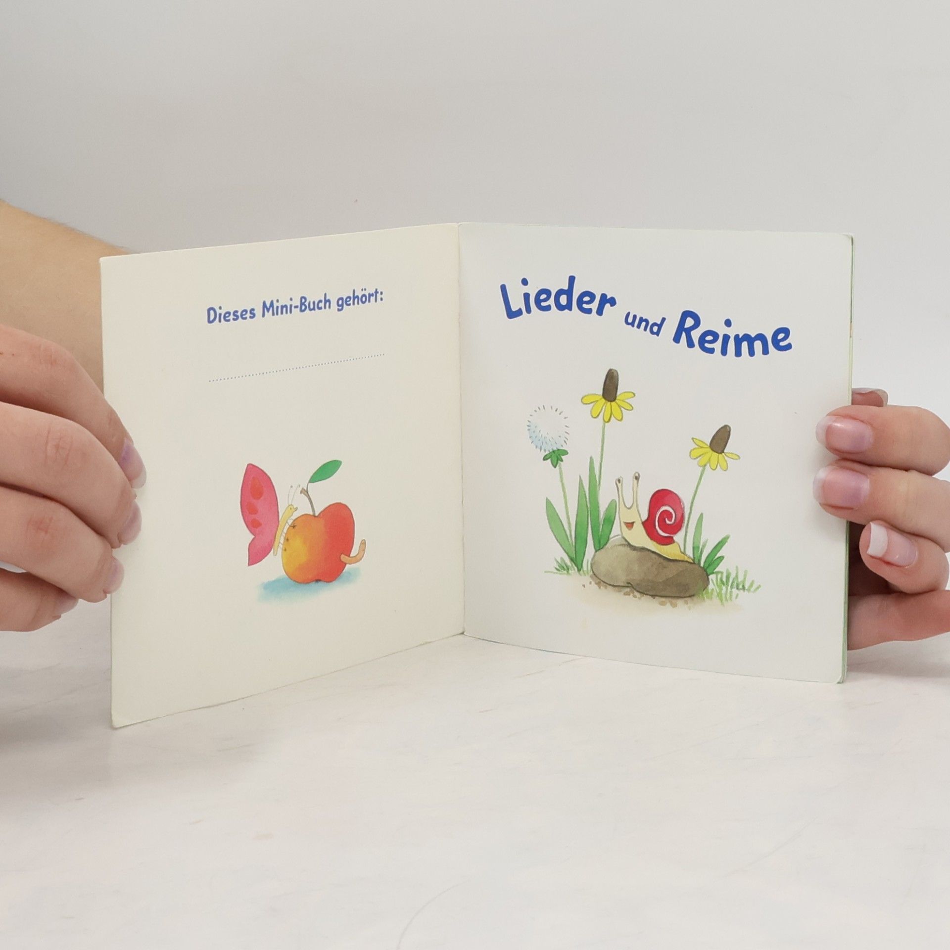 Autorenkollektiv Lieder und Reime