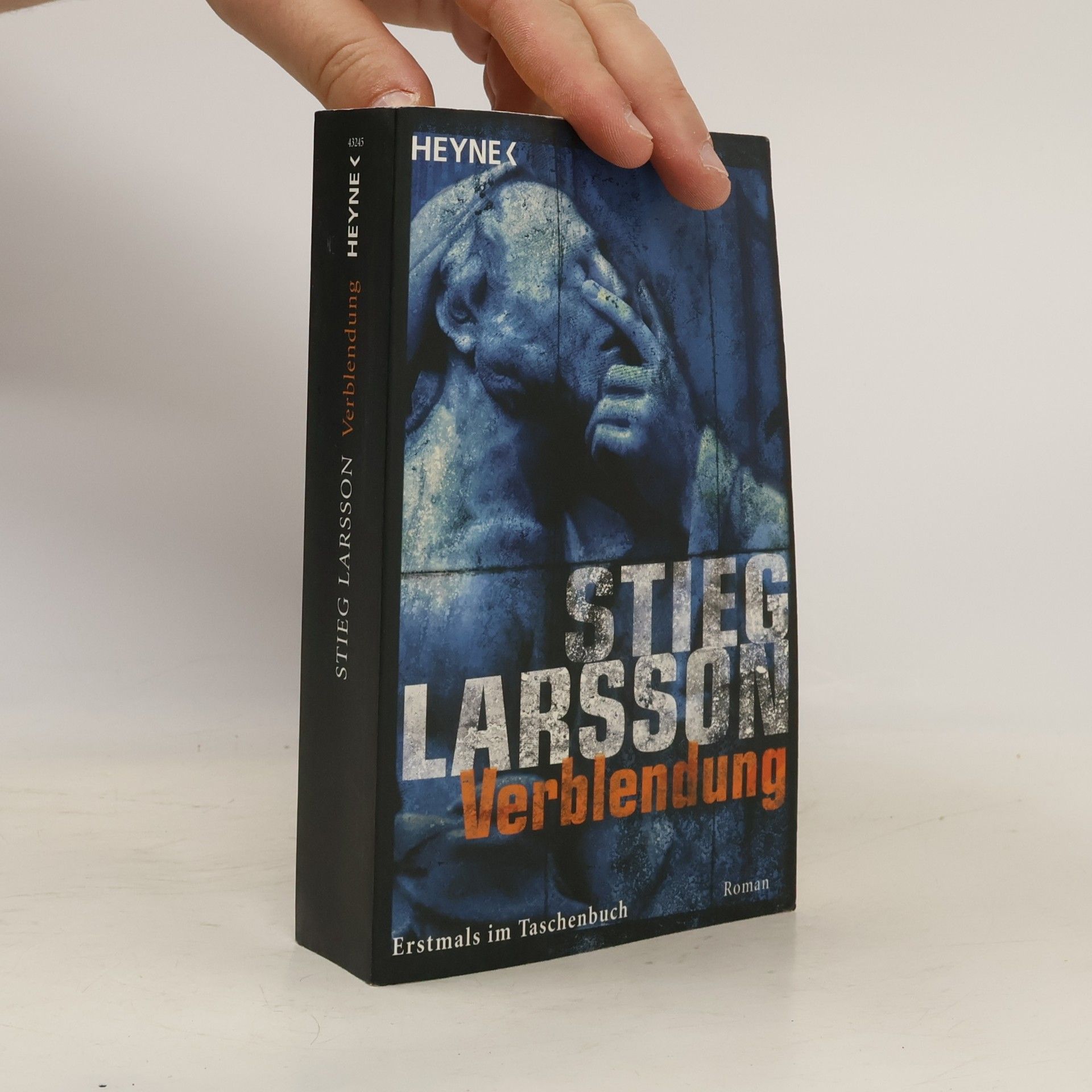 Stieg Larsson Verblendung