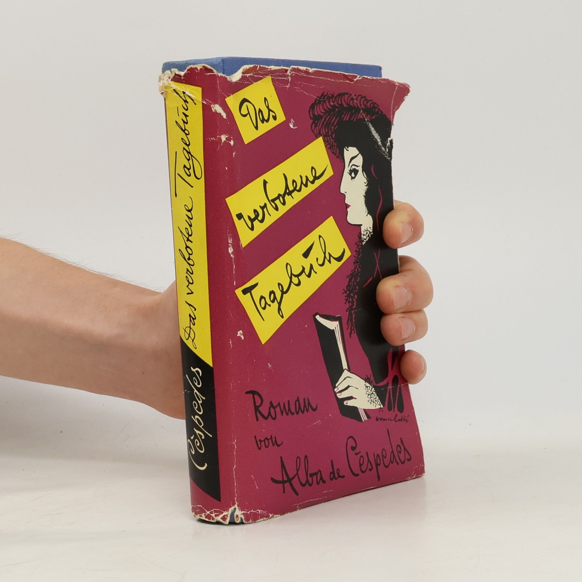 Das verbotene Tagebuch 