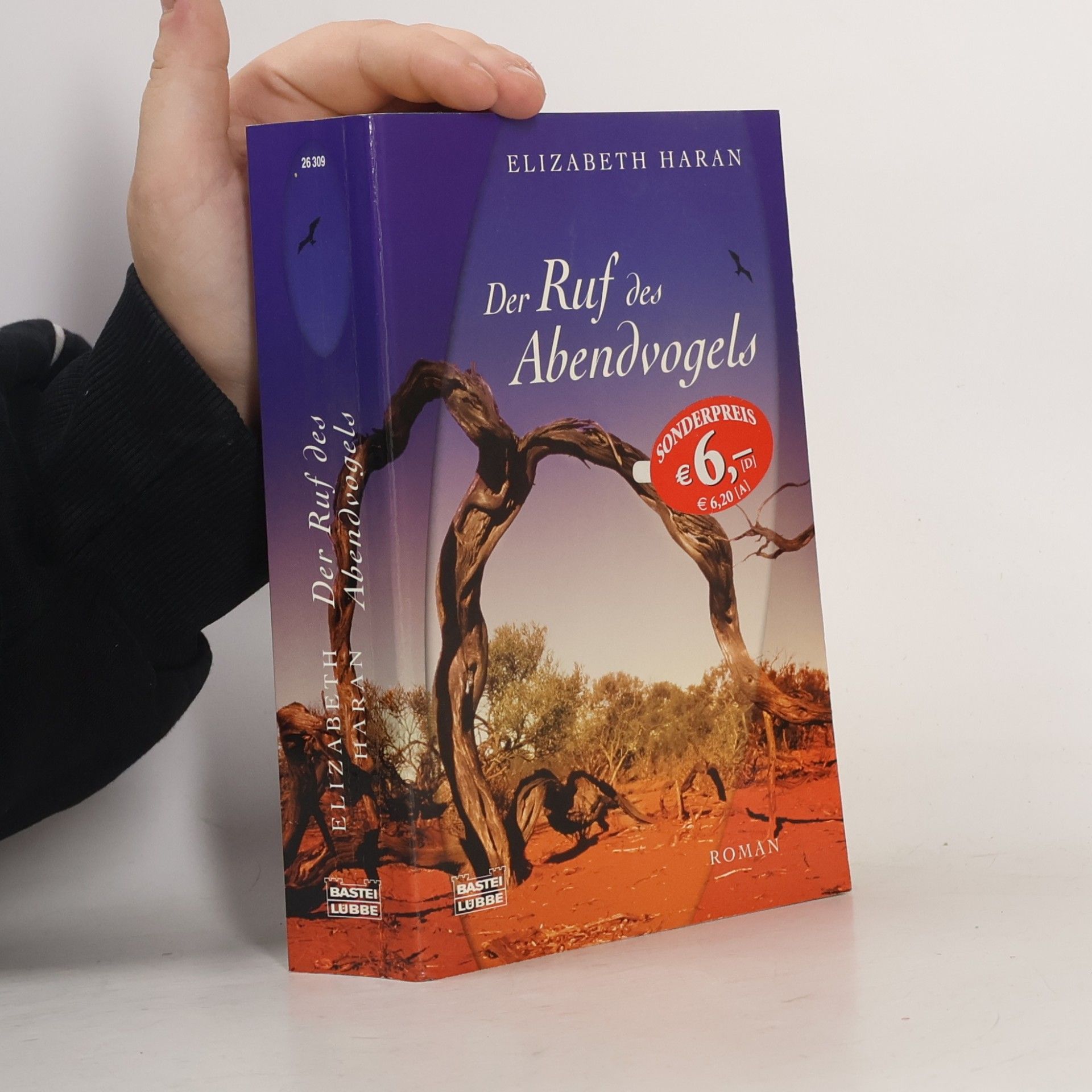 Elizabeth Haran Der Ruf des Abendvogels