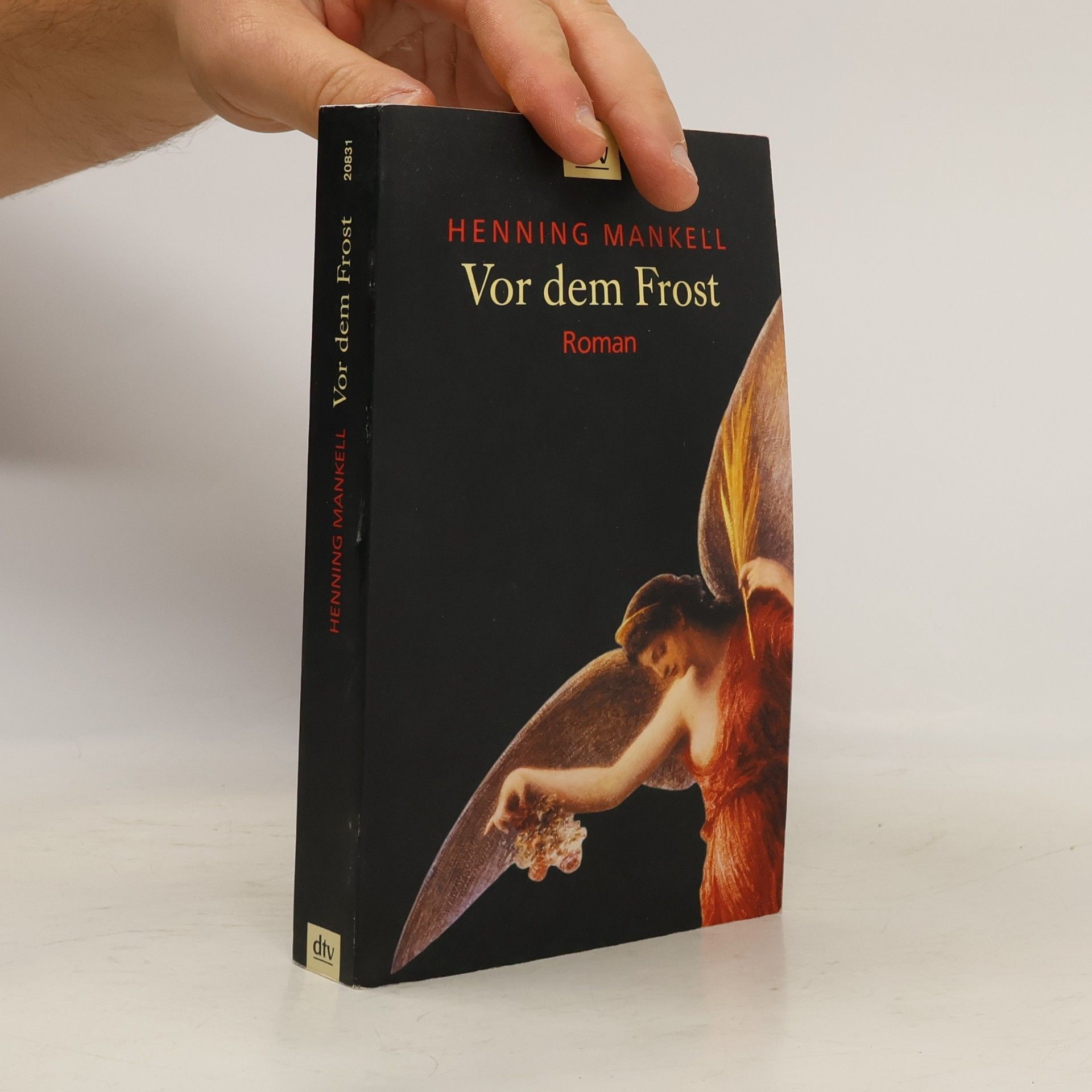 Henning Mankell Vor dem Frost