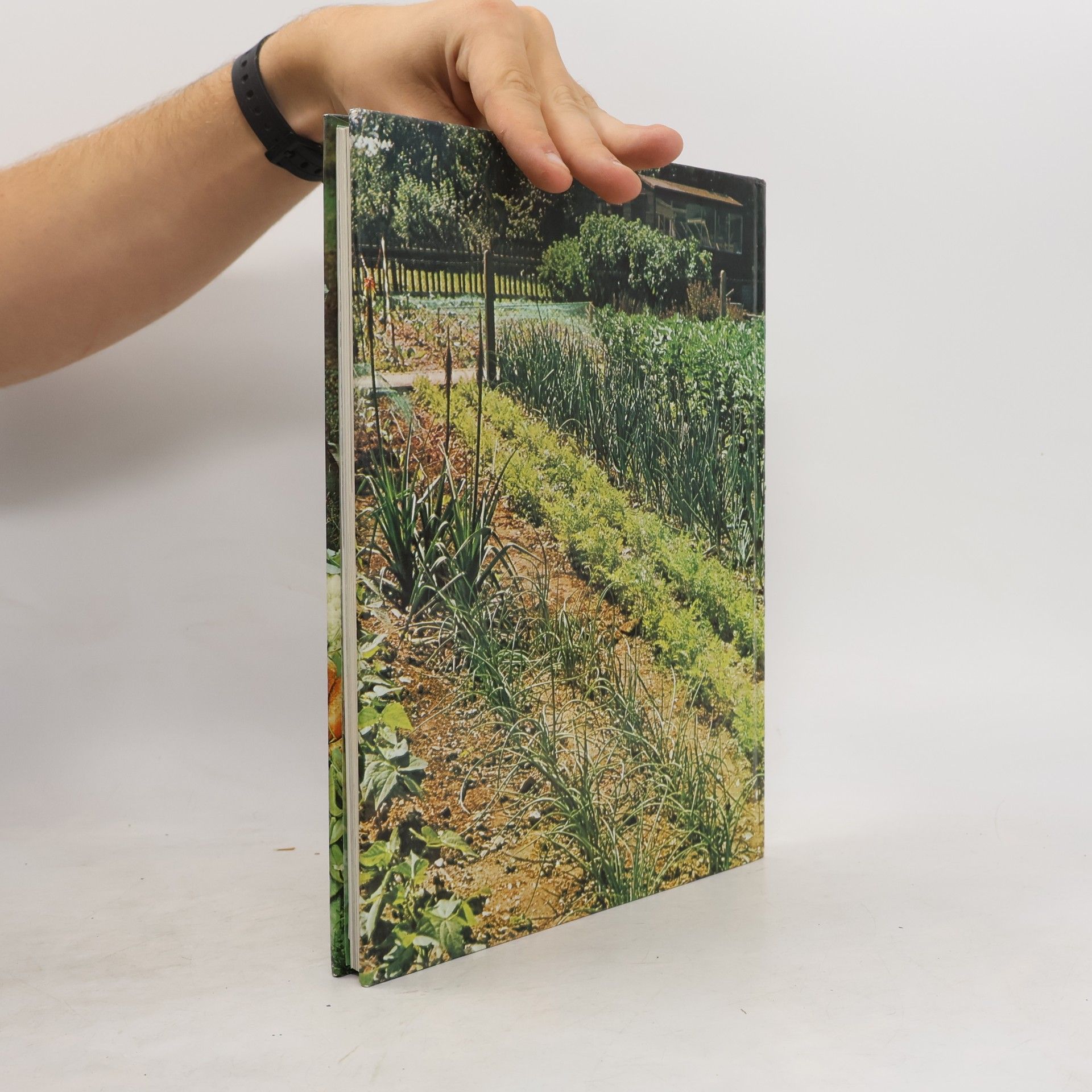 H. G. Witham Fogg Cultivez legumes et fruits