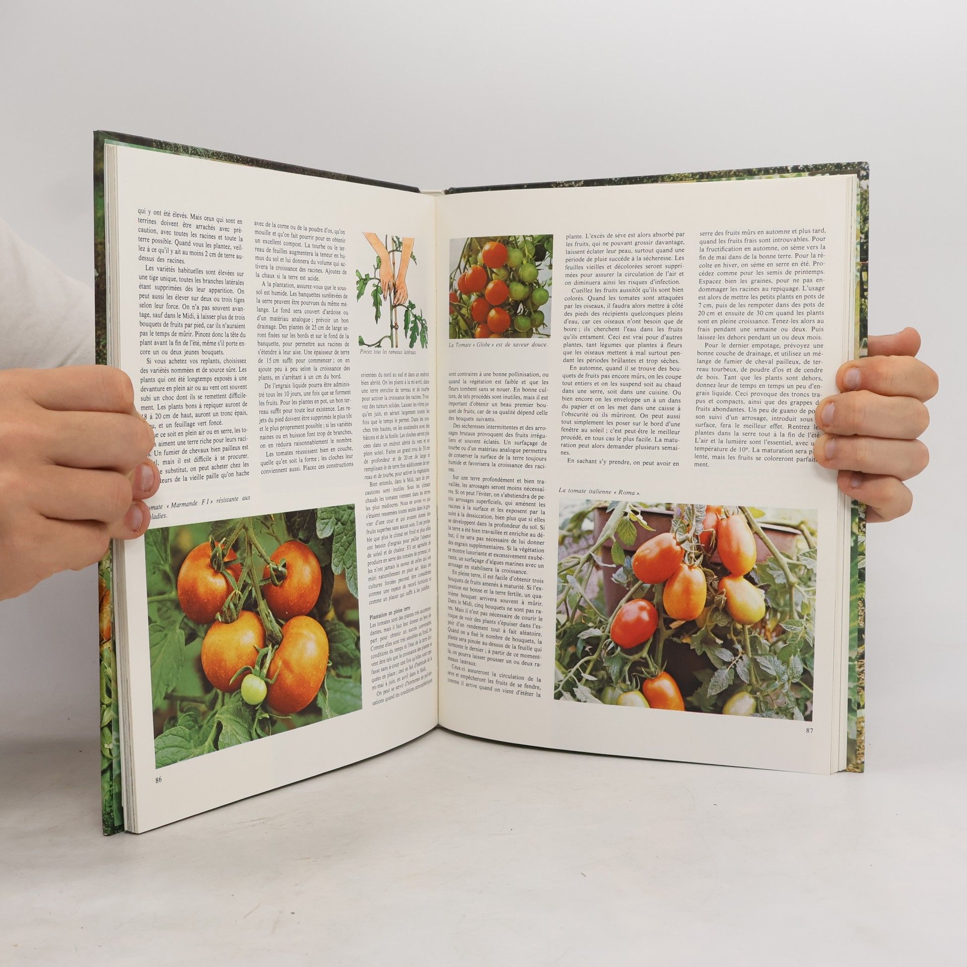 H. G. Witham Fogg Cultivez legumes et fruits