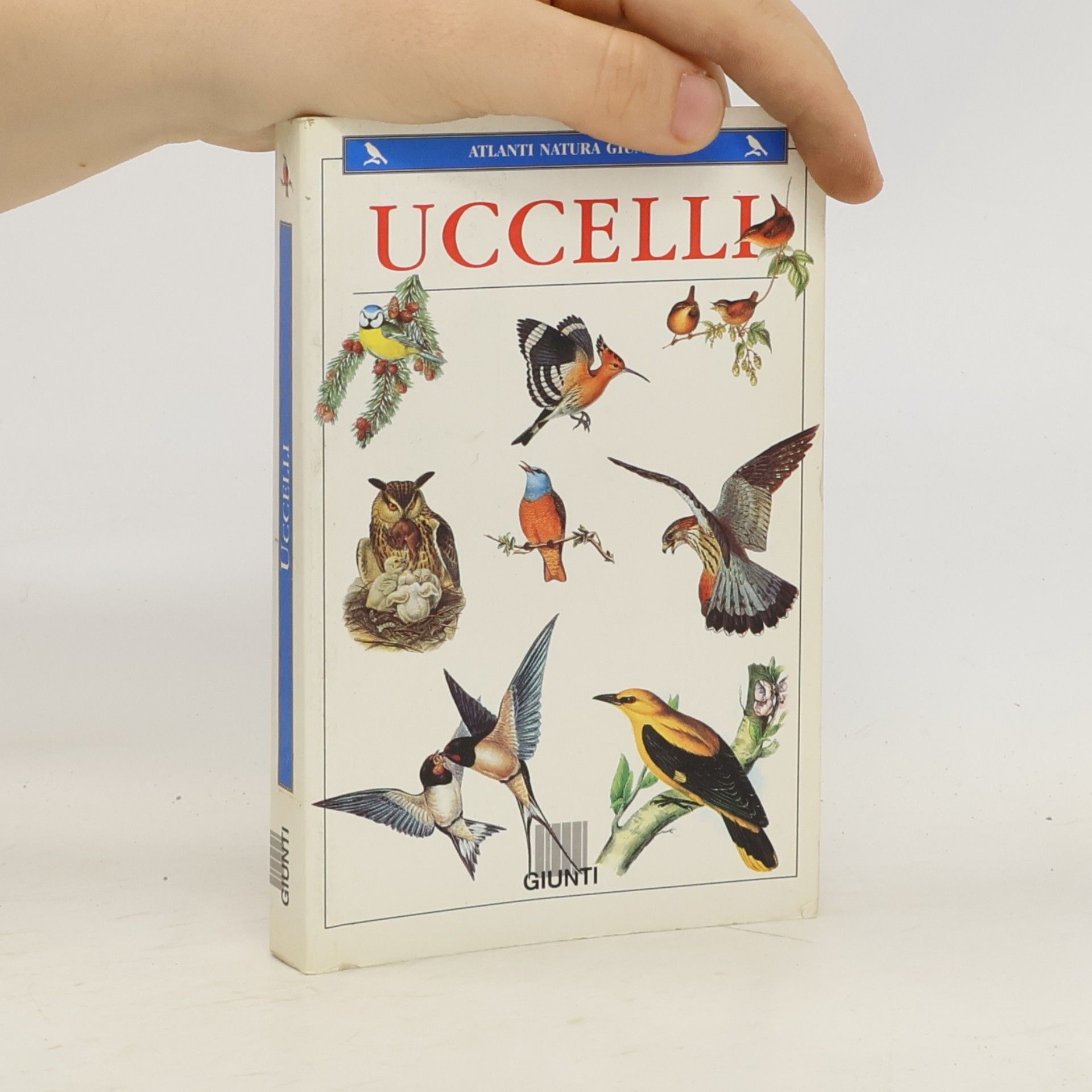 Luigi Cagnolaro Uccelli