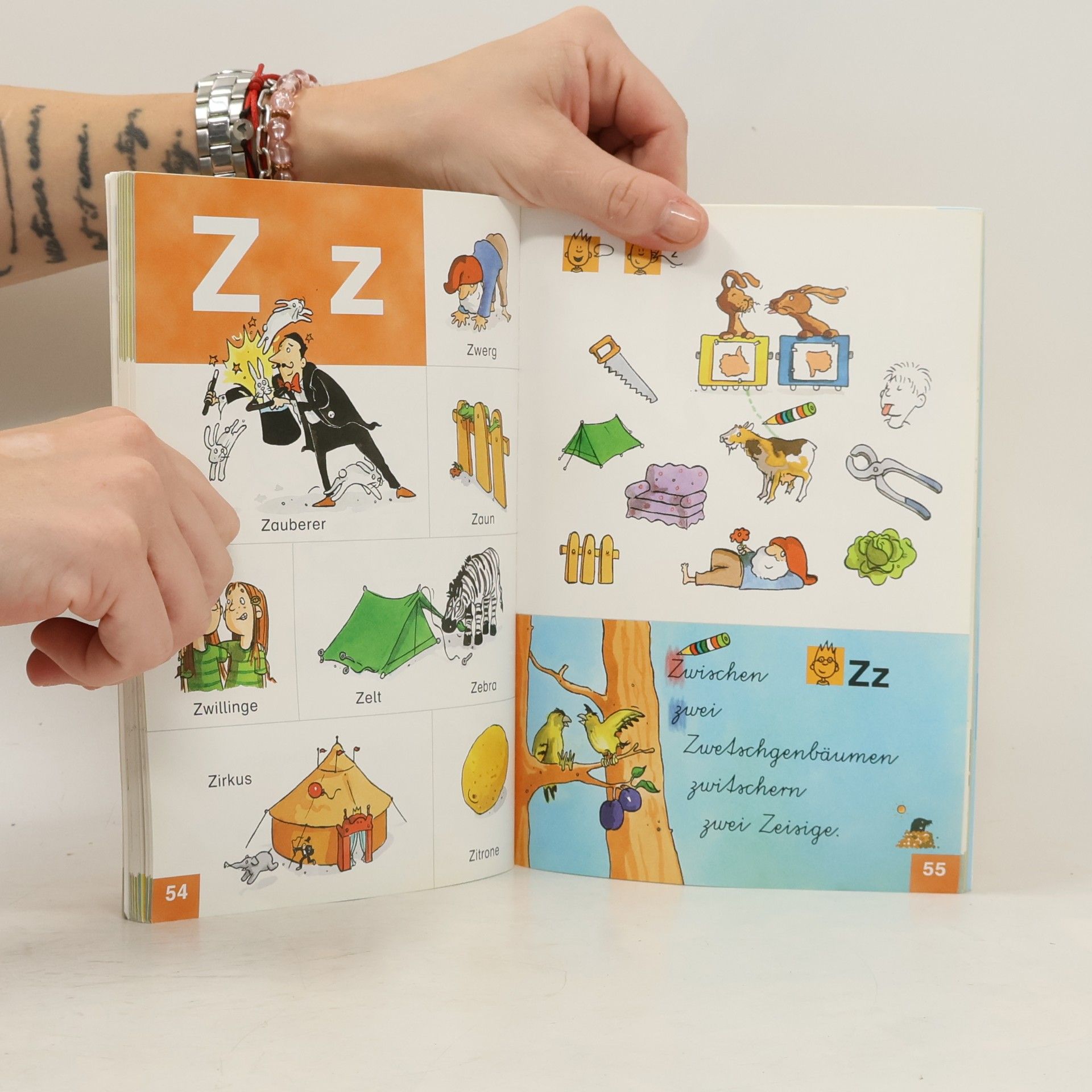 Ulrike Holzwarth Der Abc-Duden: Vom Buchstaben zum Alphabet - ein erstes Wörterbuch
