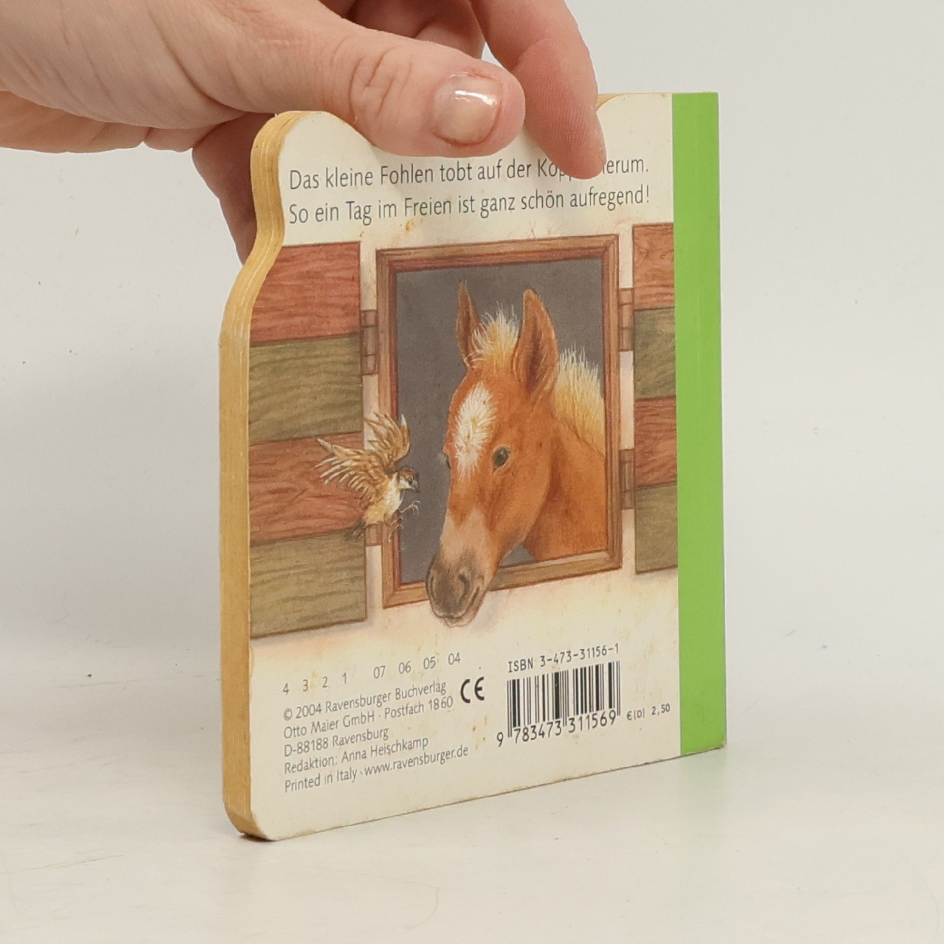 Amrei Fechner Hopp-hopp - Galopp!