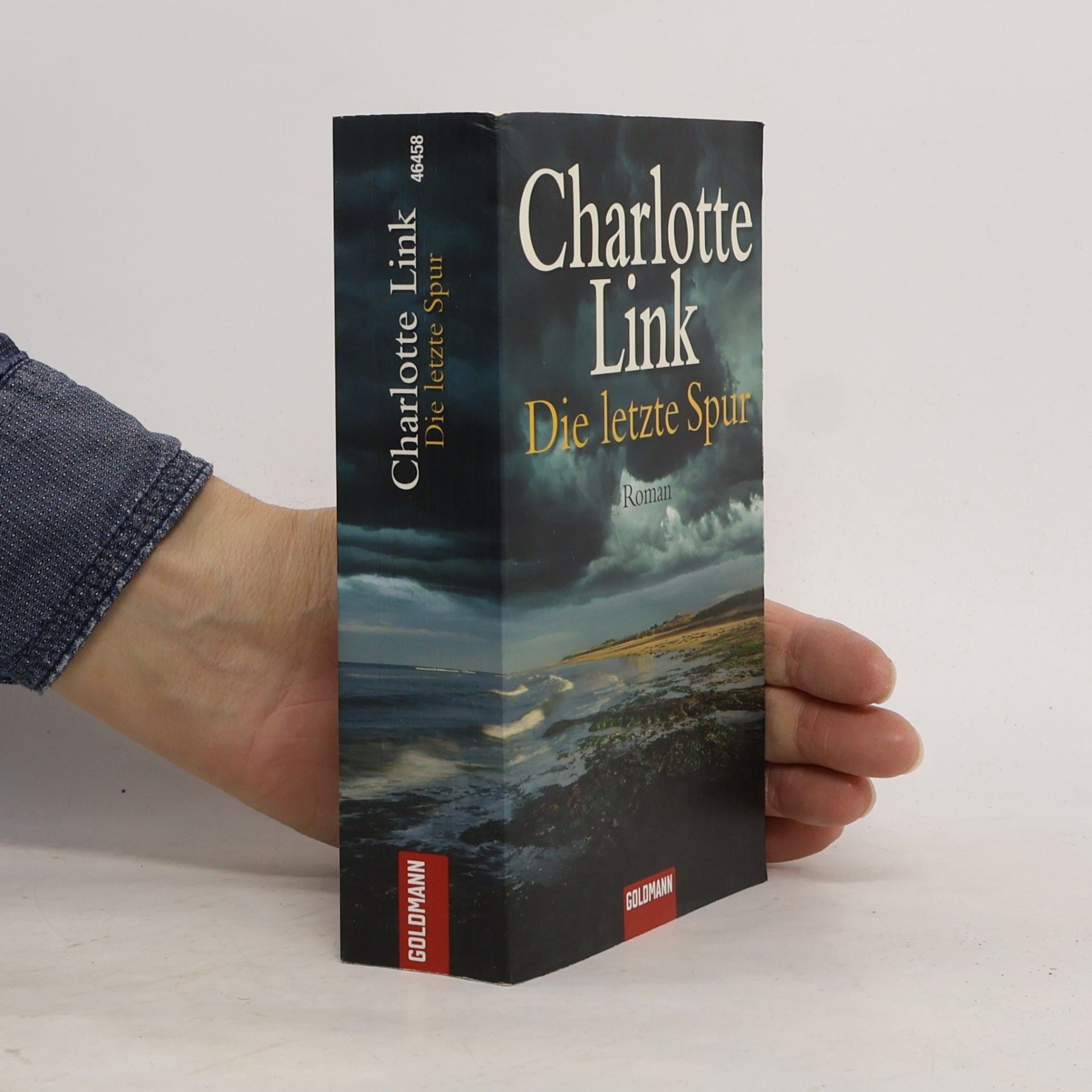 Charlotte Link Die letzte Spur