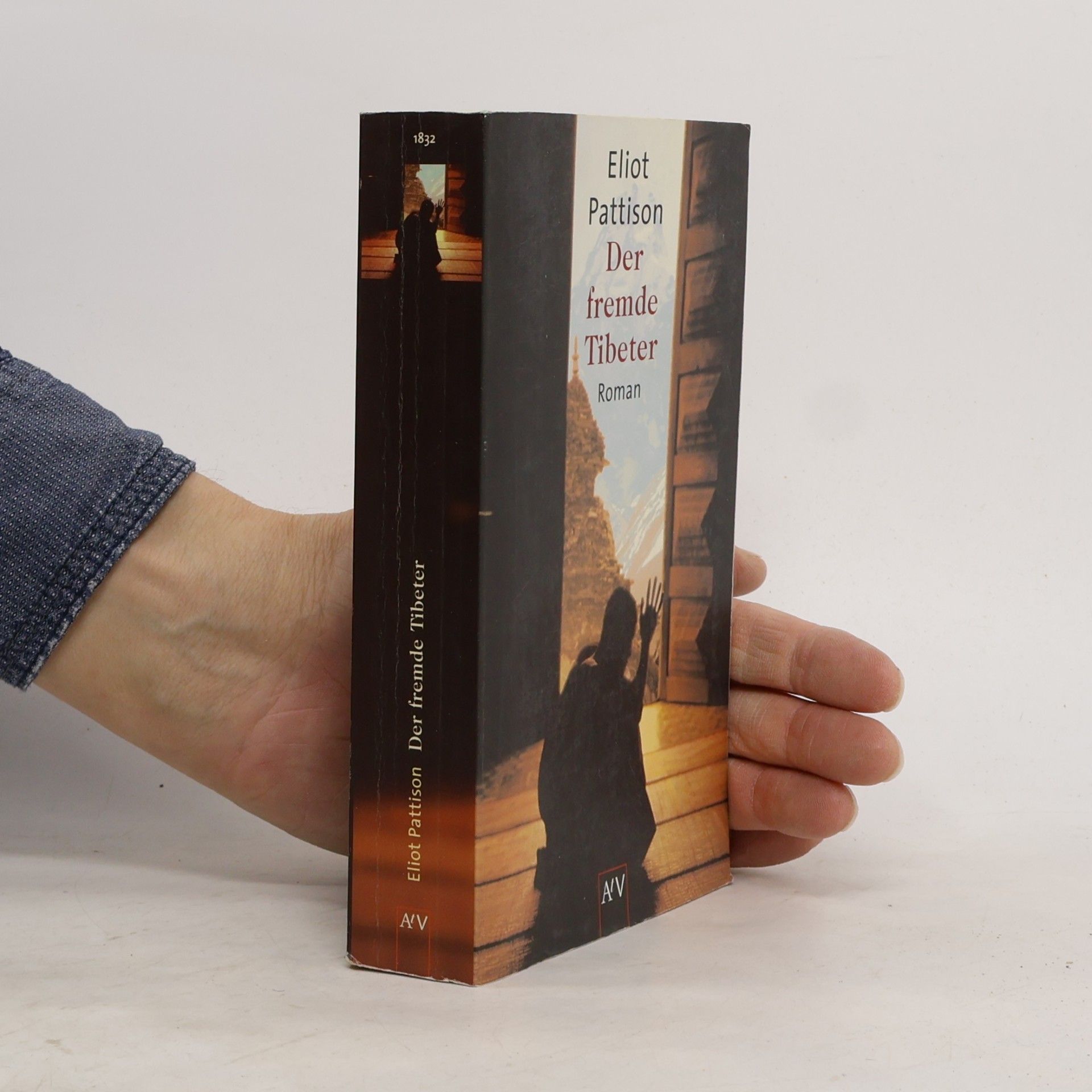 Eliot Pattison Der fremde Tibeter