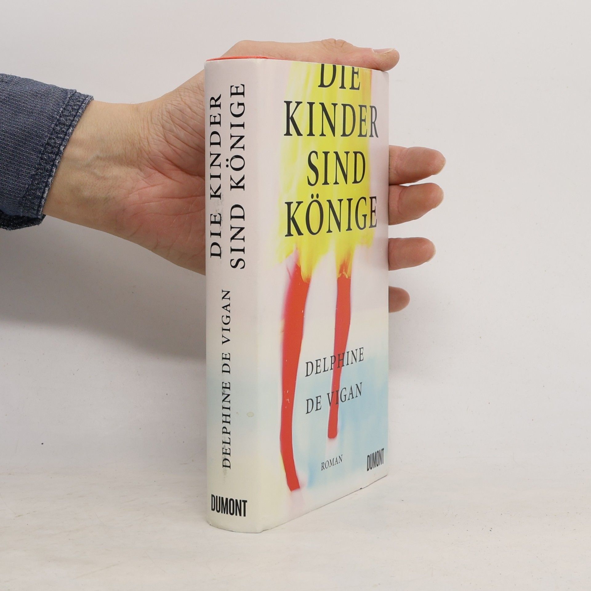 Delphine de Vigan Die Kinder sind Könige