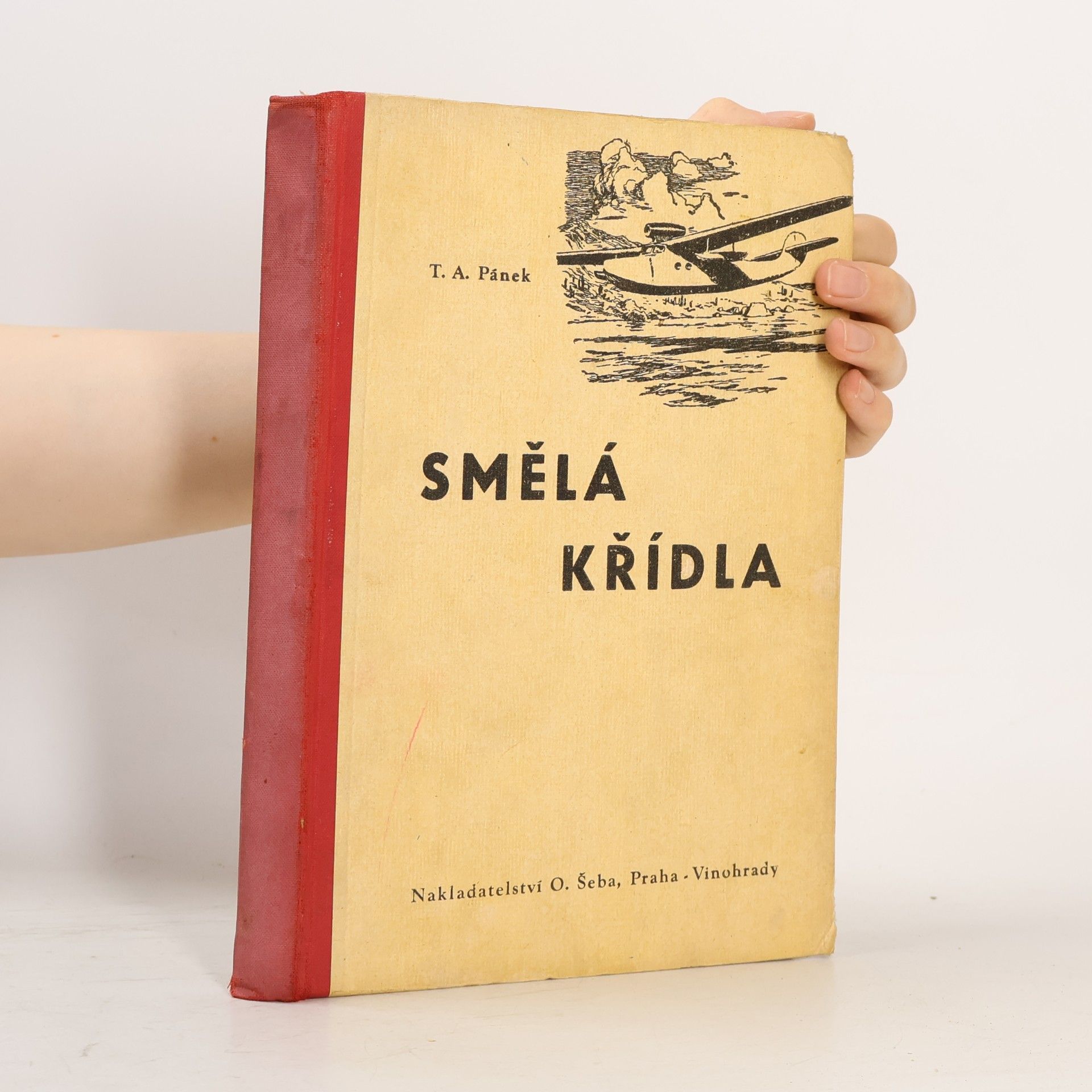 Pánek T. A. Smělá křídla