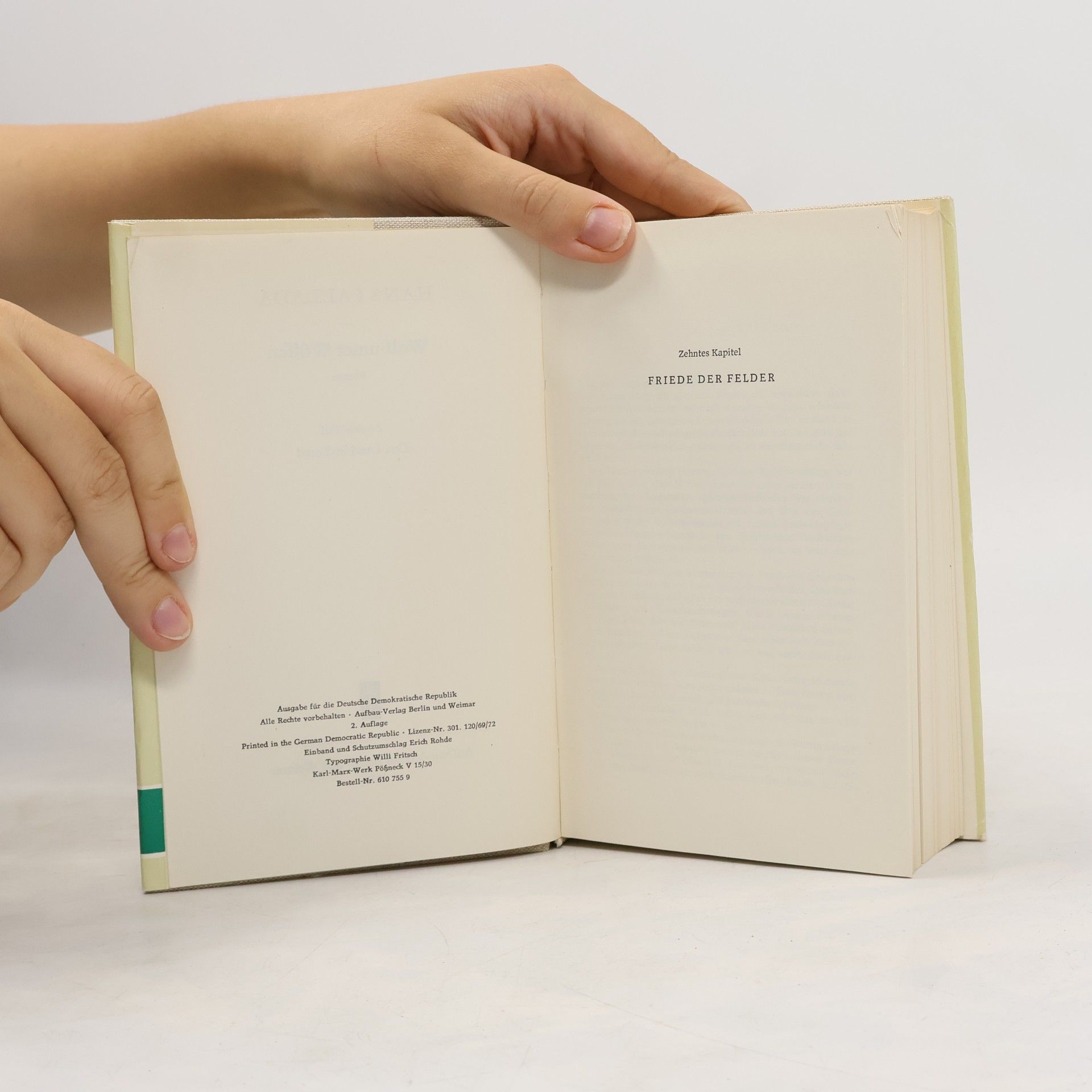 Hans Fallada Wolf unter Wölfen 2