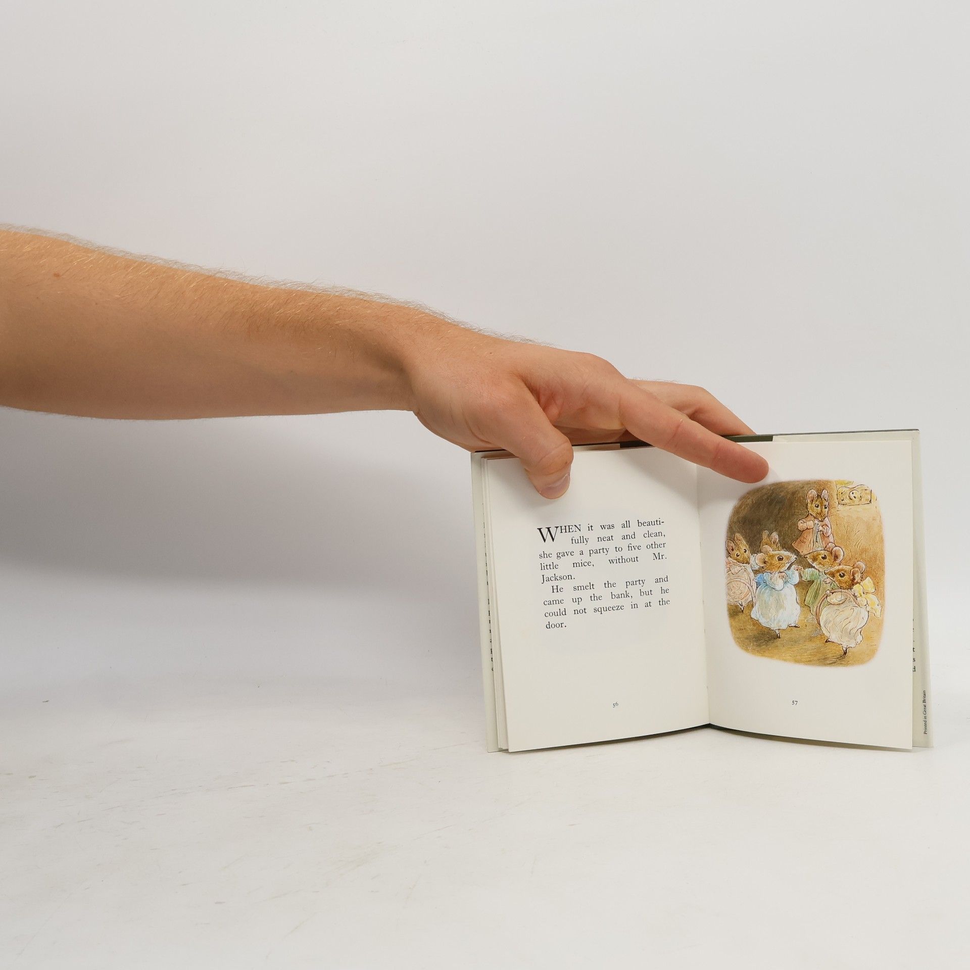 Beatrix Potter The Tale of Mrs. Tittlemouse
