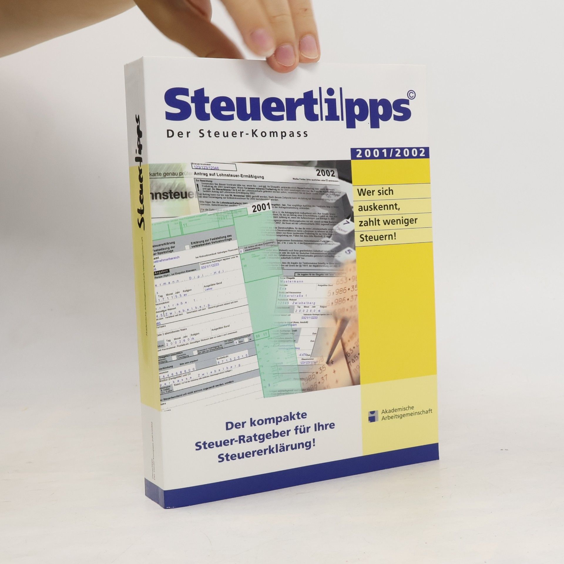 Autorenkollektiv Steuertipps 2001/2002