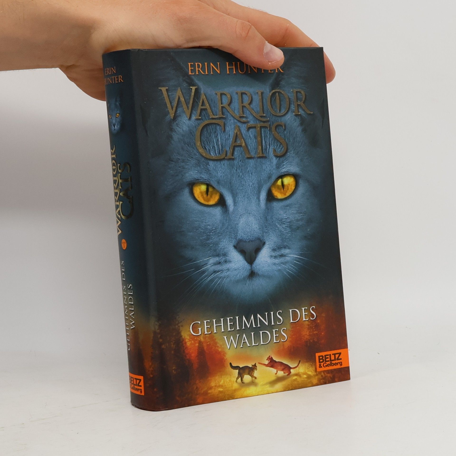 Warrior Cats. Geheimnis des Waldes.