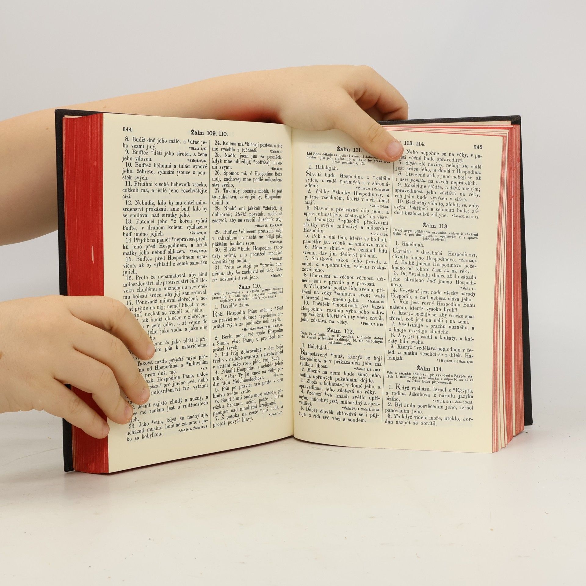 kolektiv Bible svatá