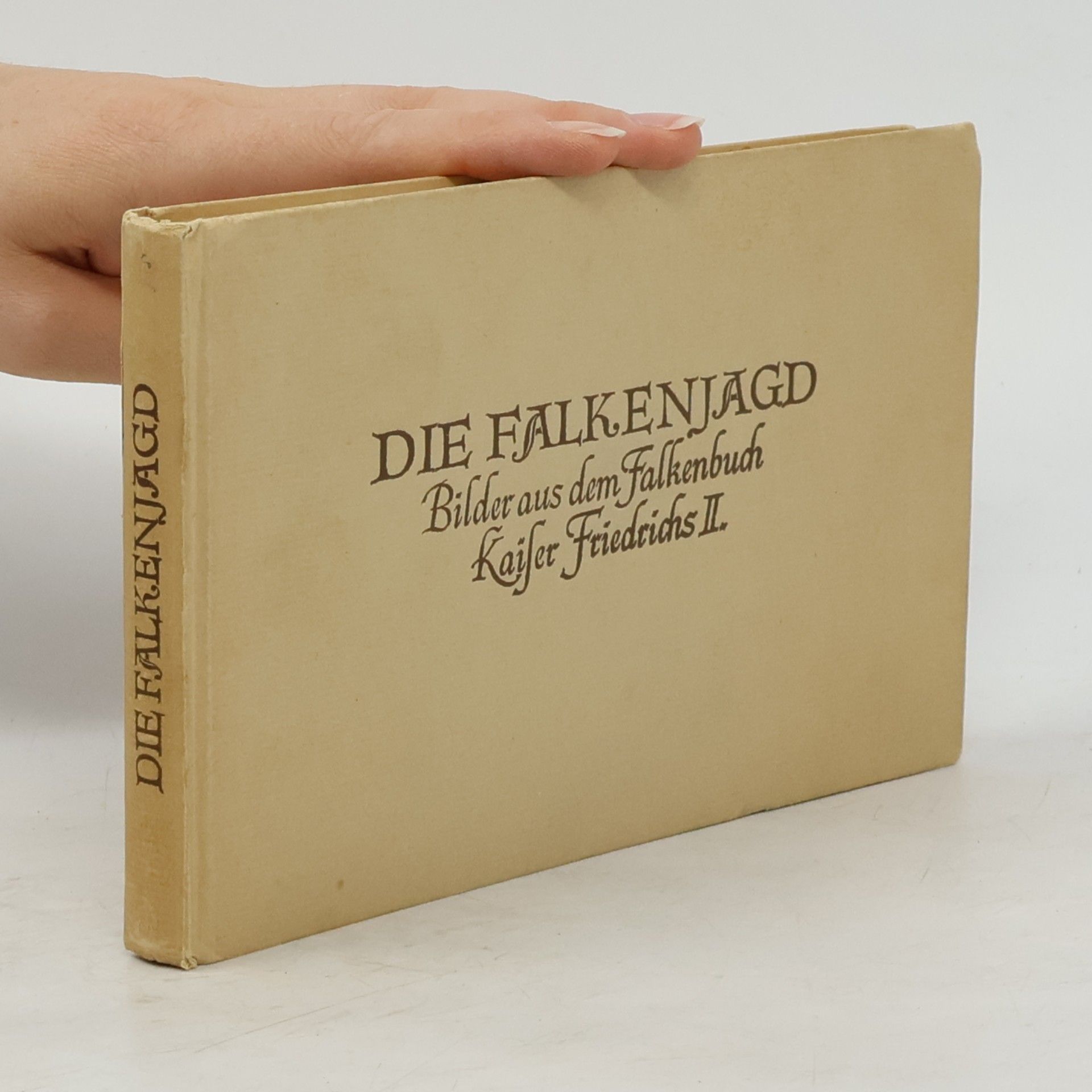 Die Falkenjagd