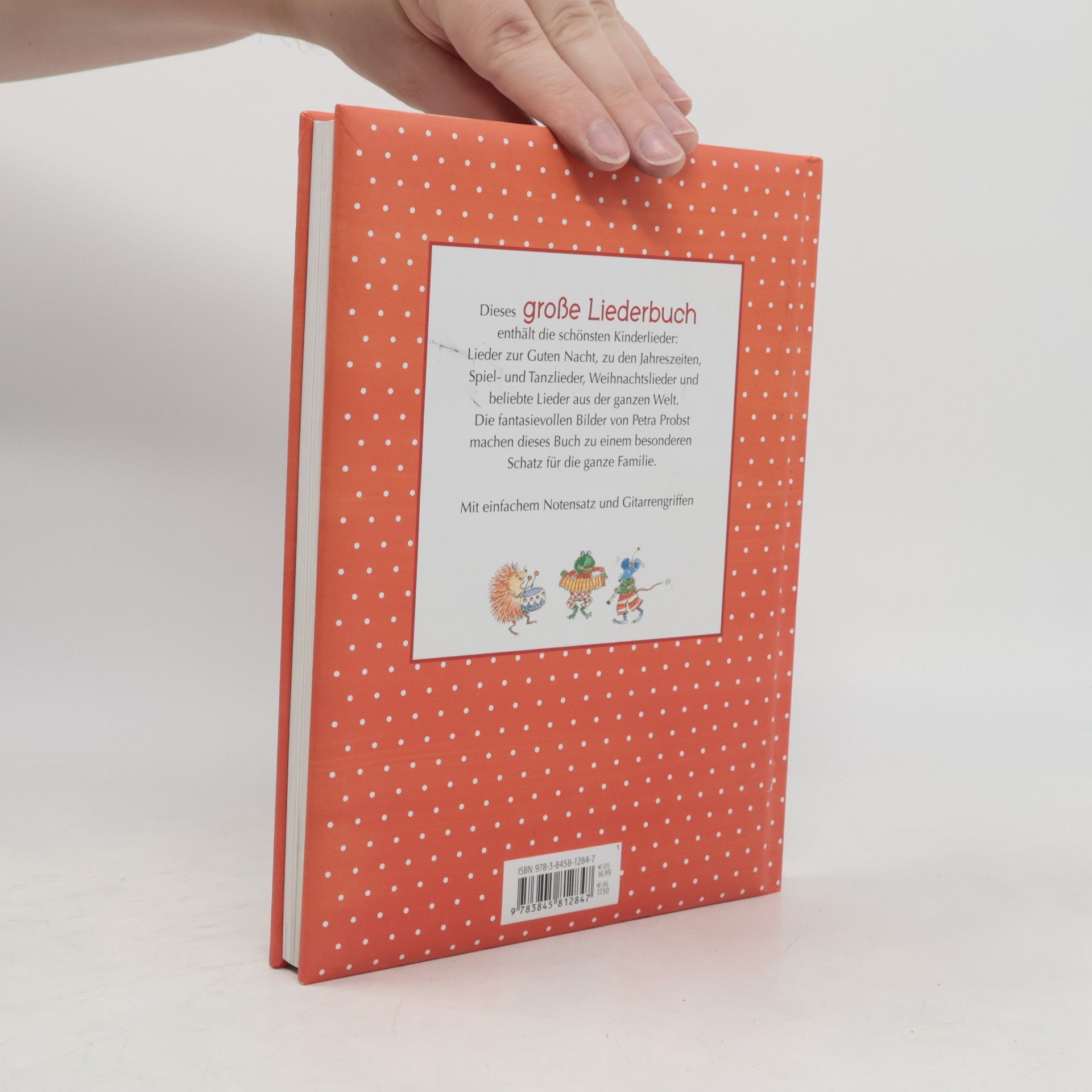 Gisela Stottele Mein großes Liederbuch